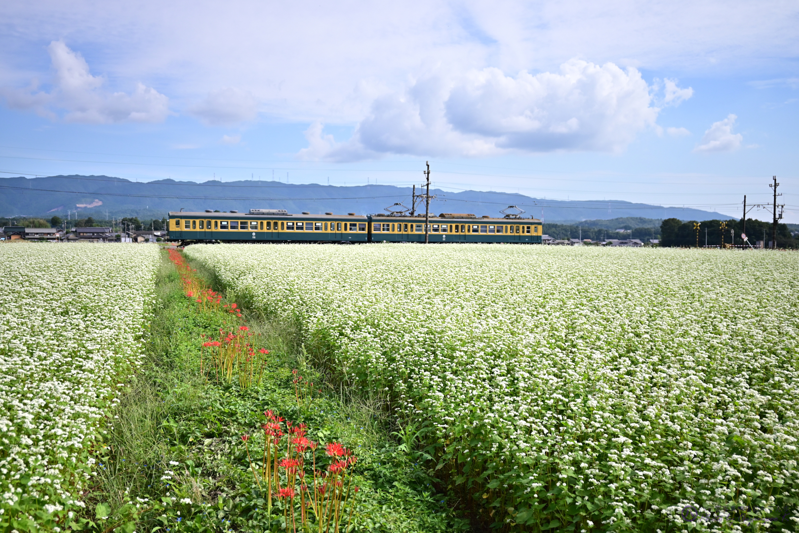 https://www.yaotomi.co.jp/blog/walk/DSC_1655%2CNIKON%20Z%205%2C34%20mm_2020yaotomi.jpg