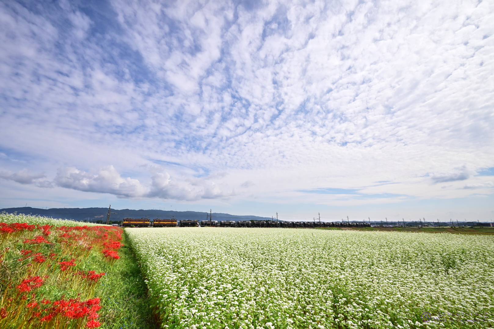 https://www.yaotomi.co.jp/blog/walk/DSC_1739%2CNIKON%20Z%205%2C14%20mm_2020yaotomi.jpg