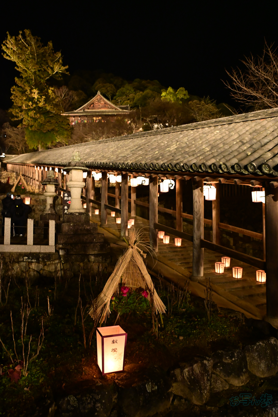 https://www.yaotomi.co.jp/blog/walk/DSC_1883%2C27%20mm%2CF5.6%2C1-15%20%E7%A7%92%2Ciso6400%28JPEG%29.jpg