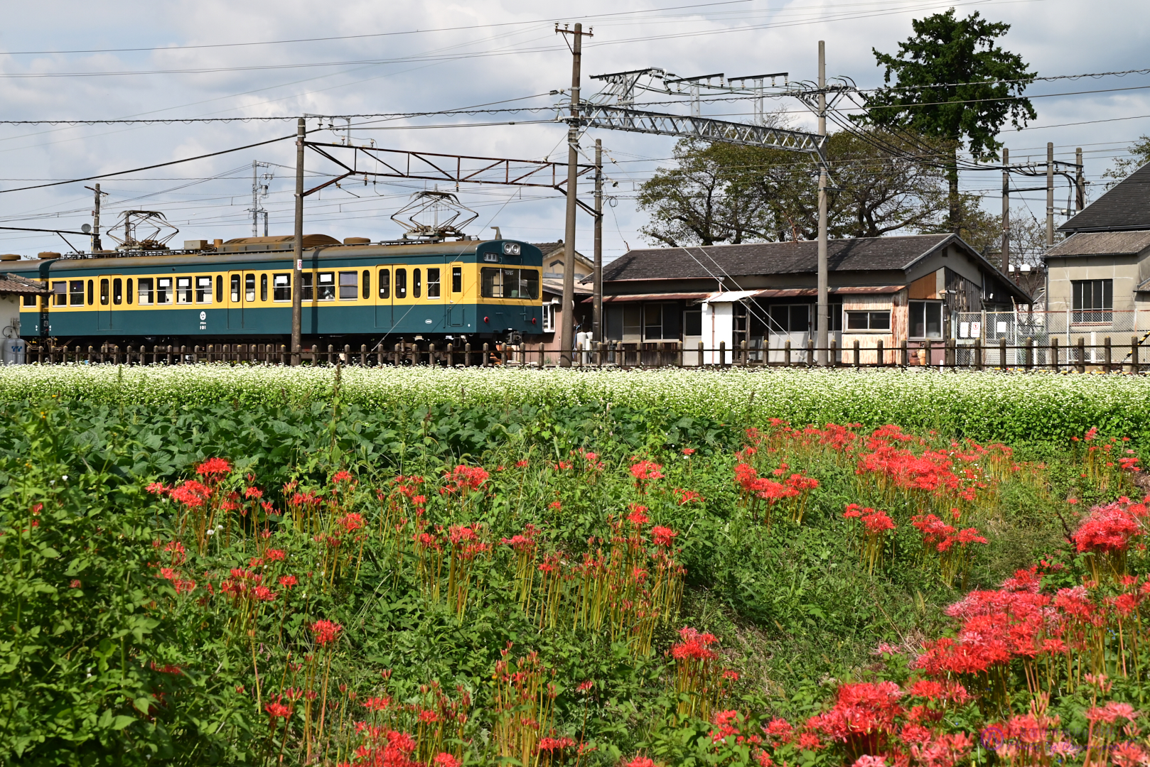 https://www.yaotomi.co.jp/blog/walk/DSC_1979%2CNIKON%20Z%205%2C70%20mm_2020yaotomi.jpg