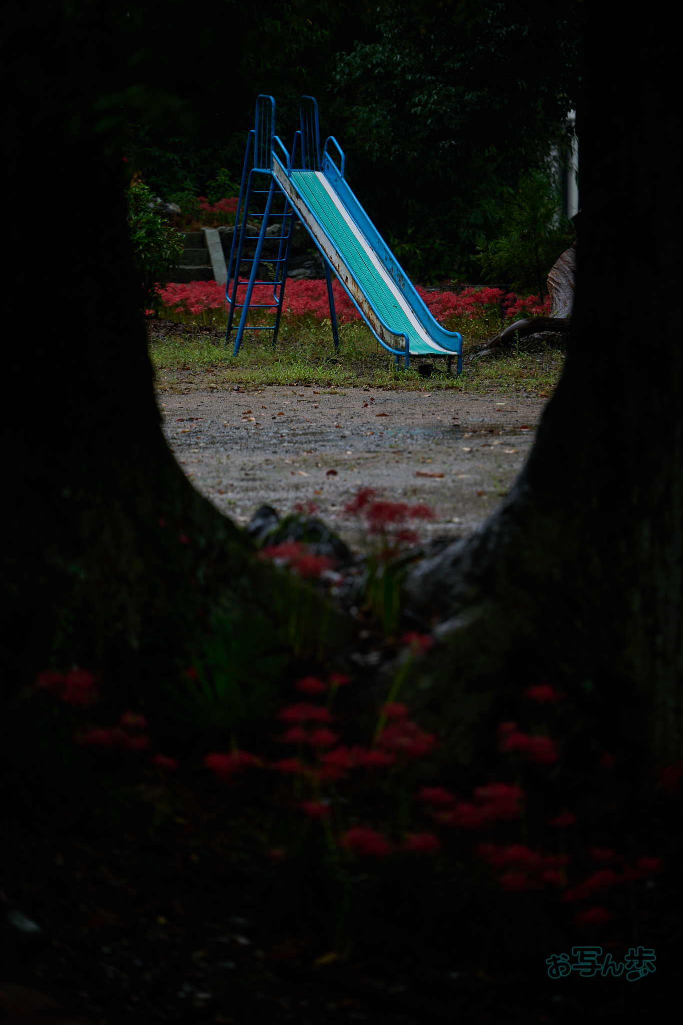 https://www.yaotomi.co.jp/blog/walk/DSC_2029co%2C160%20mm%2CF2.8%2Ciso100%28RAW%20S%29.jpg