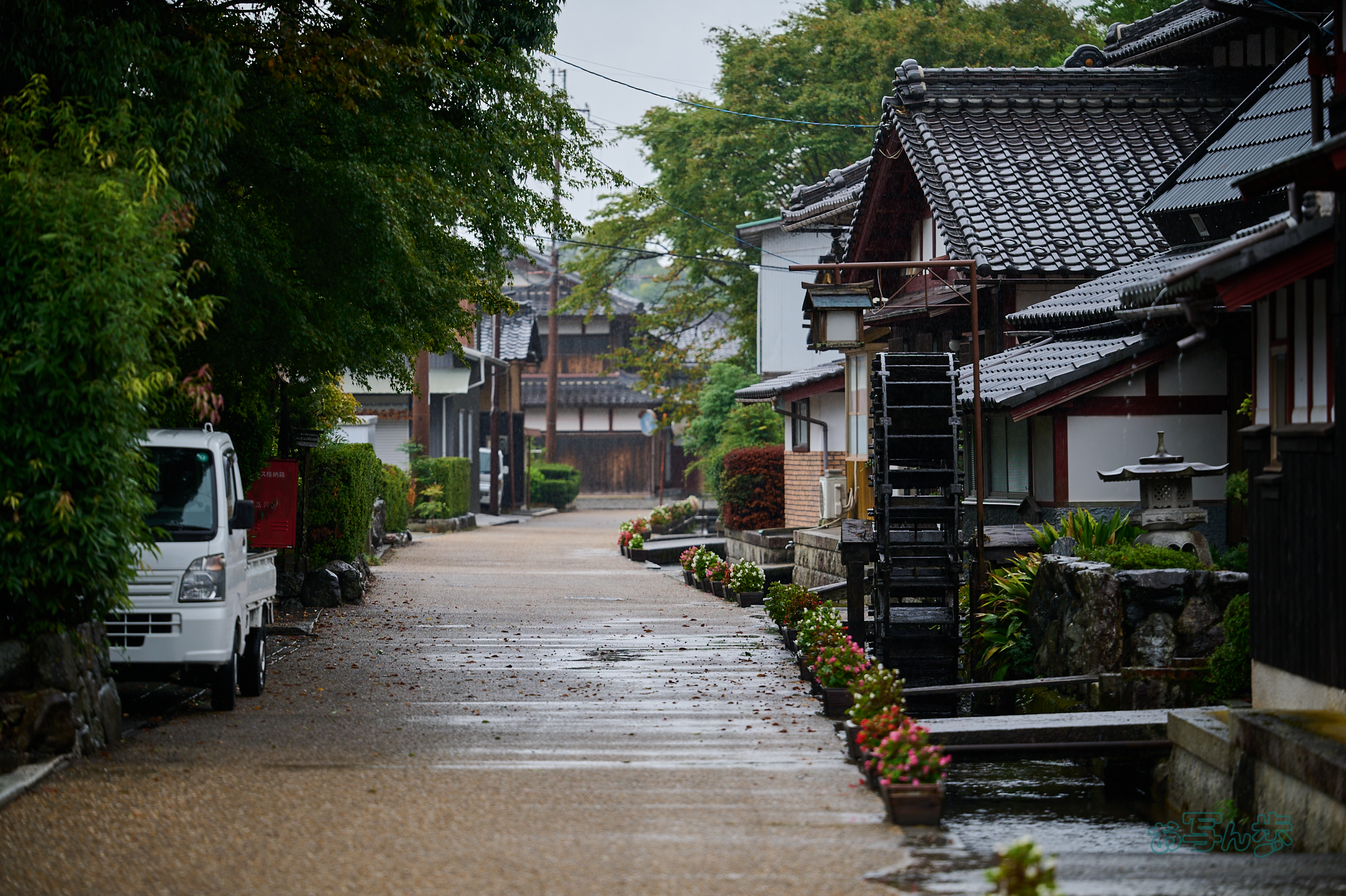 https://www.yaotomi.co.jp/blog/walk/DSC_2080co%2C130%20mm%2CF2.8%2Ciso100%28RAW%20S%29.jpg