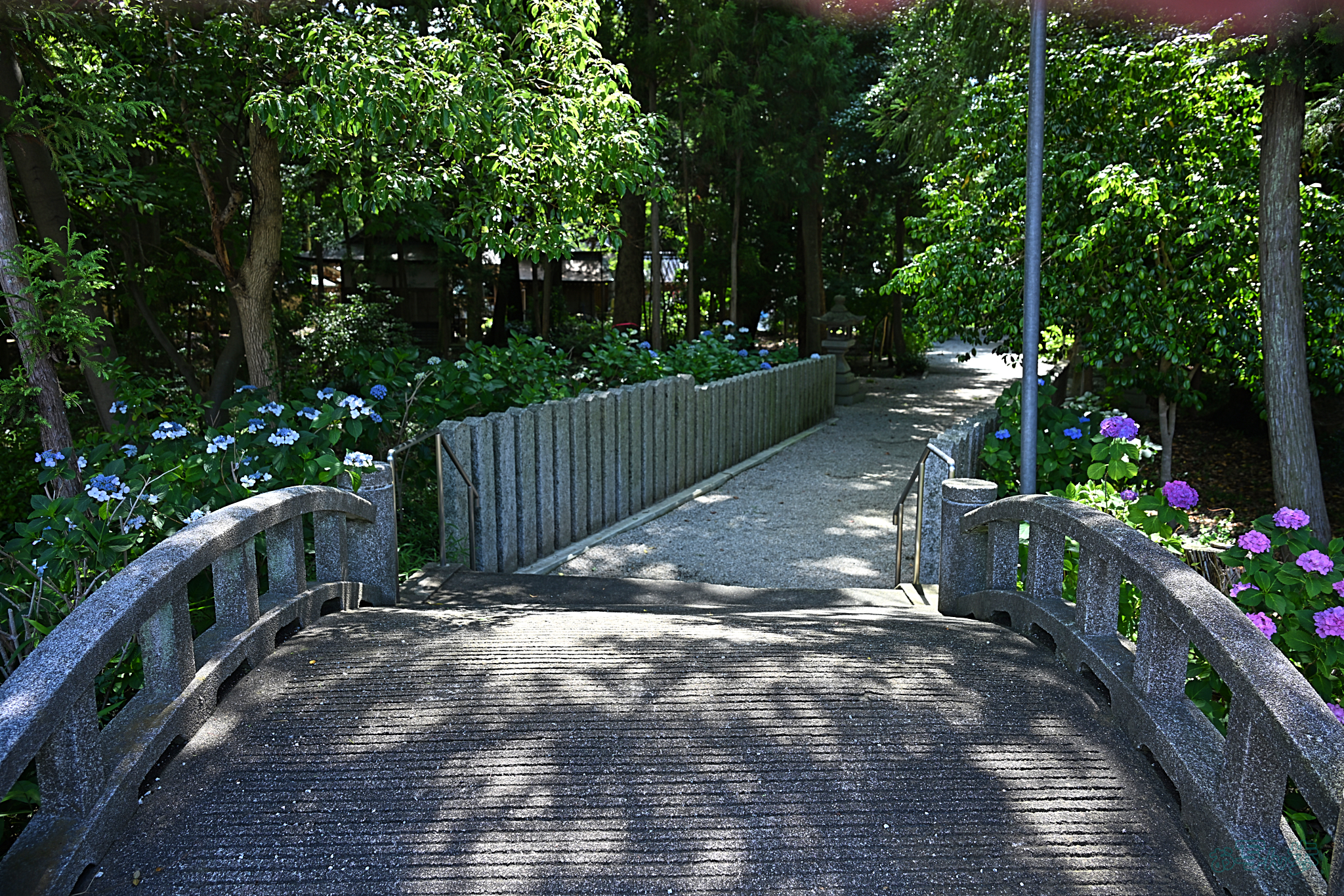 https://www.yaotomi.co.jp/blog/walk/DSC_2093%2C24%20mm%2CF4%2Ciso100%28JPEG%29.jpg