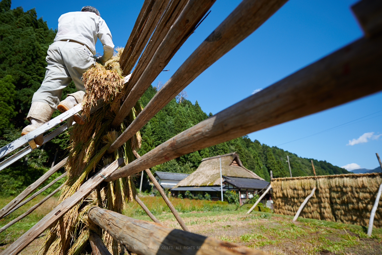 https://www.yaotomi.co.jp/blog/walk/DSC_2150%2C16%20mm%2C17-09-30_yaotomi.jpg