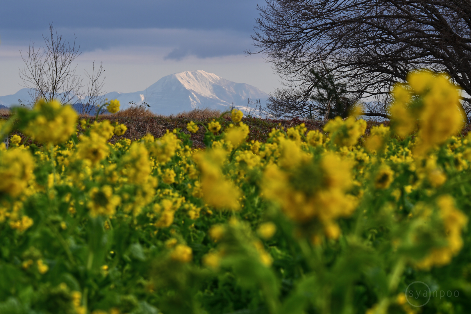 https://www.yaotomi.co.jp/blog/walk/DSC_2272%2C200%20mm%2CF22%2Ciso100%28JPEG%29%201.jpg