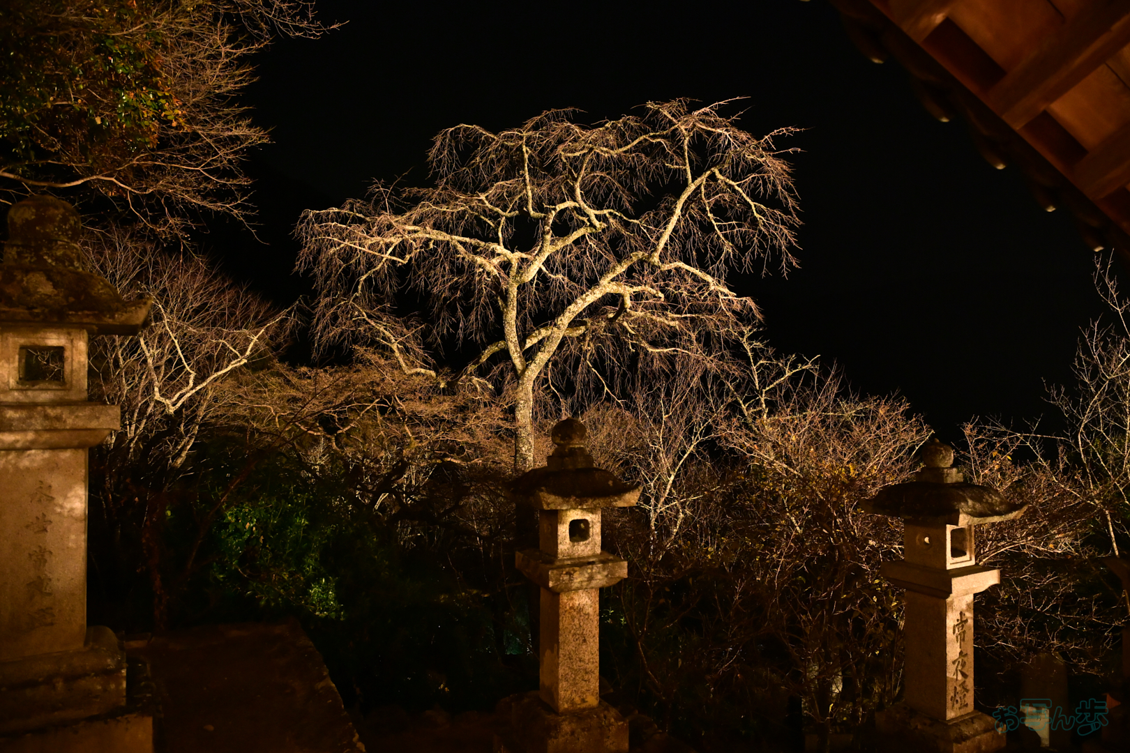 https://www.yaotomi.co.jp/blog/walk/DSC_2298%2C24%20mm%2CF4%2C1-13%20%E7%A7%92%2Ciso6400%28JPEG%29.jpg
