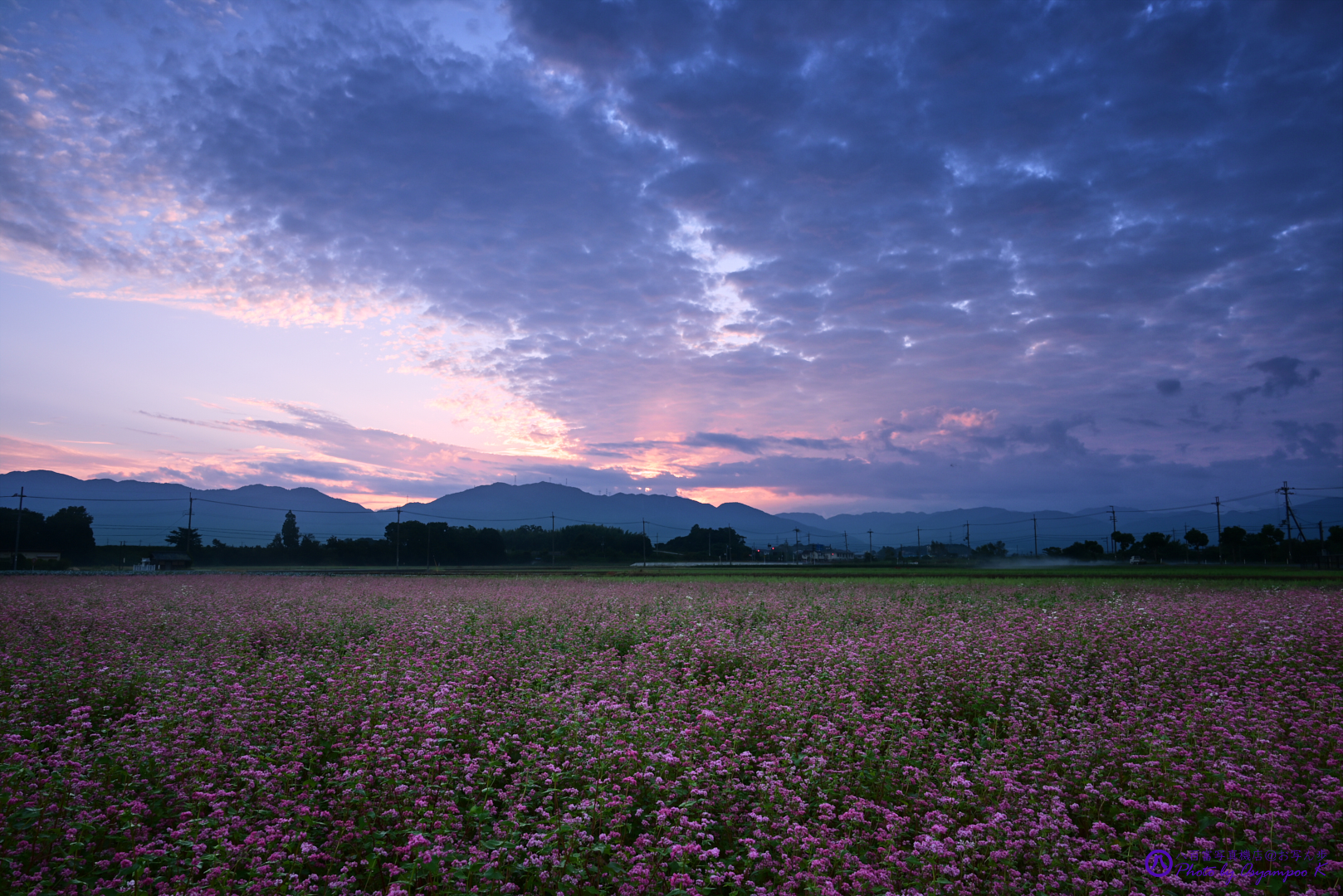 https://www.yaotomi.co.jp/blog/walk/DSC_2301%2CNIKON%20Z%205%2C24%20mm_2020yaotomi.jpg