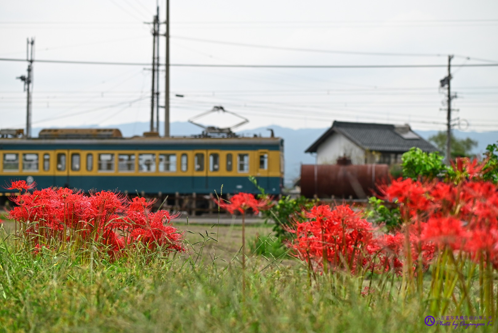 https://www.yaotomi.co.jp/blog/walk/DSC_2729%2CNIKON%20Z%205%2C70%20mm_2020yaotomi.jpg