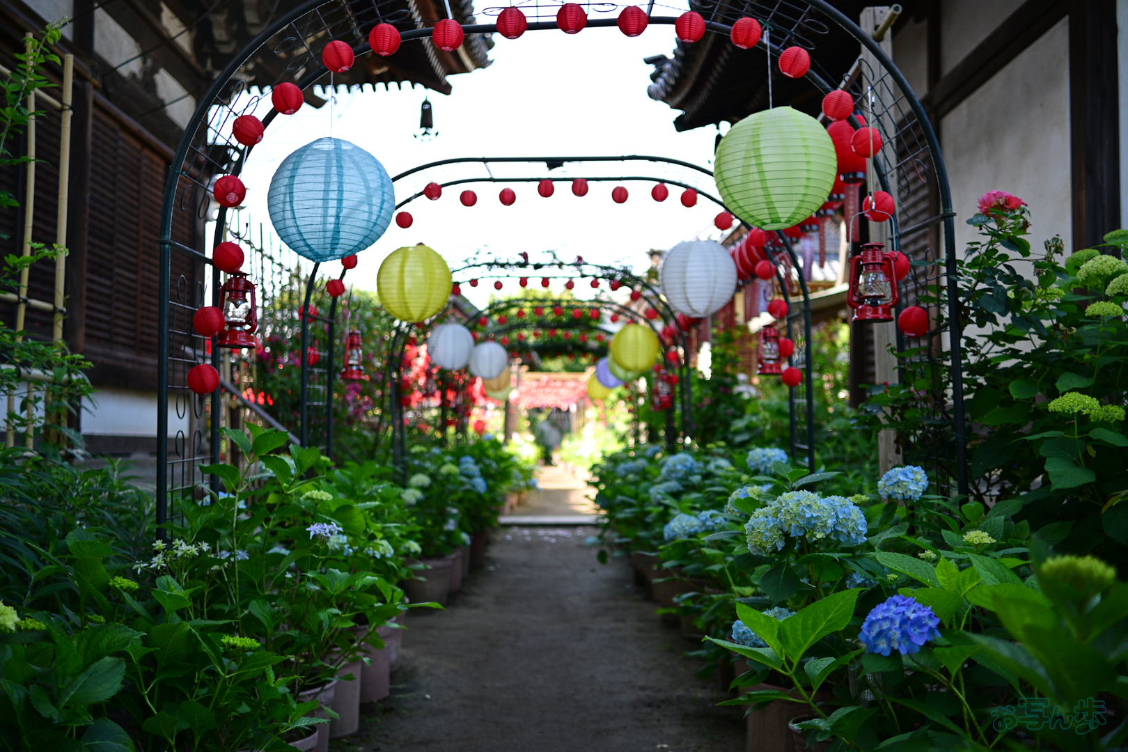 https://www.yaotomi.co.jp/blog/walk/DSC_4761%2C24%20mm%2CF1.7%2C1-500%20%E7%A7%92%2Ciso100%28JPEG%29.jpg