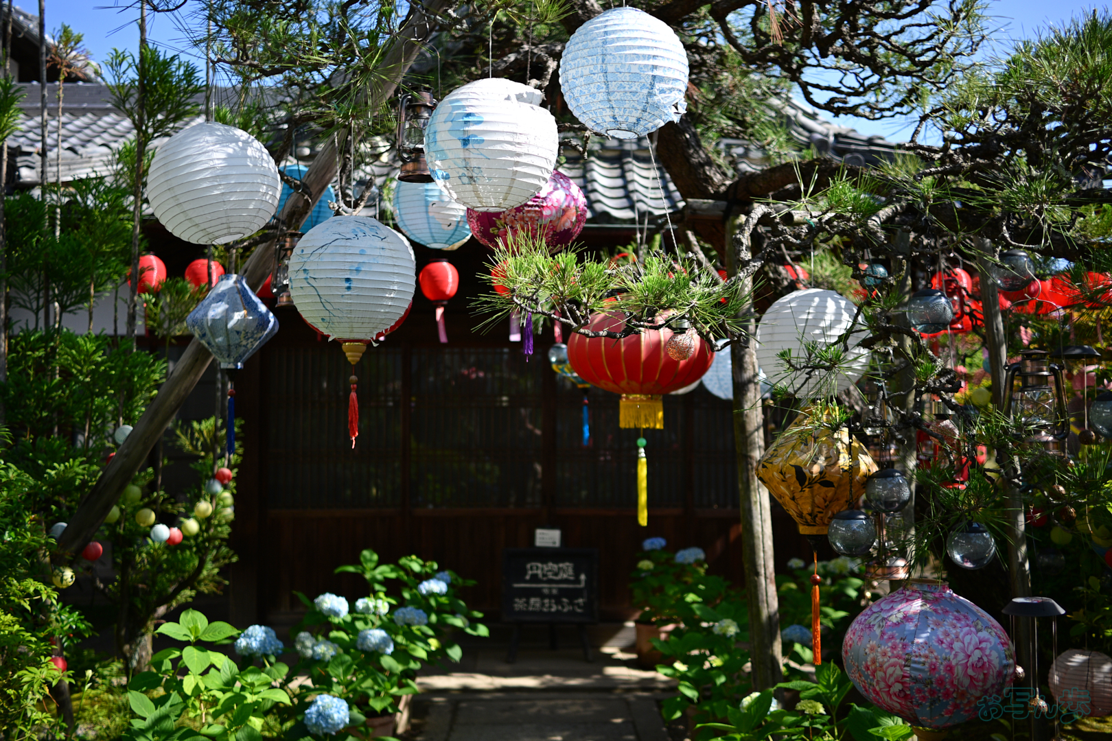 https://www.yaotomi.co.jp/blog/walk/DSC_4873%2C24%20mm%2CF1.7%2C1-2000%20%E7%A7%92%2Ciso100%28JPEG%29.jpg