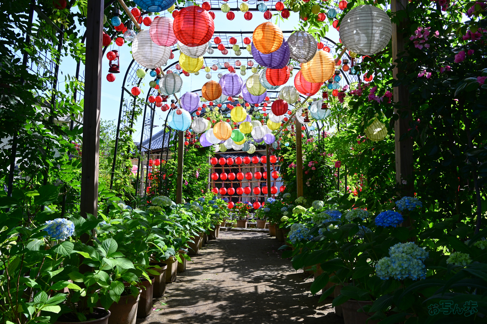 https://www.yaotomi.co.jp/blog/walk/DSC_5013%2C22%20mm%2CF11%2C1-60%20%E7%A7%92%2Ciso100%28JPEG%29.jpg