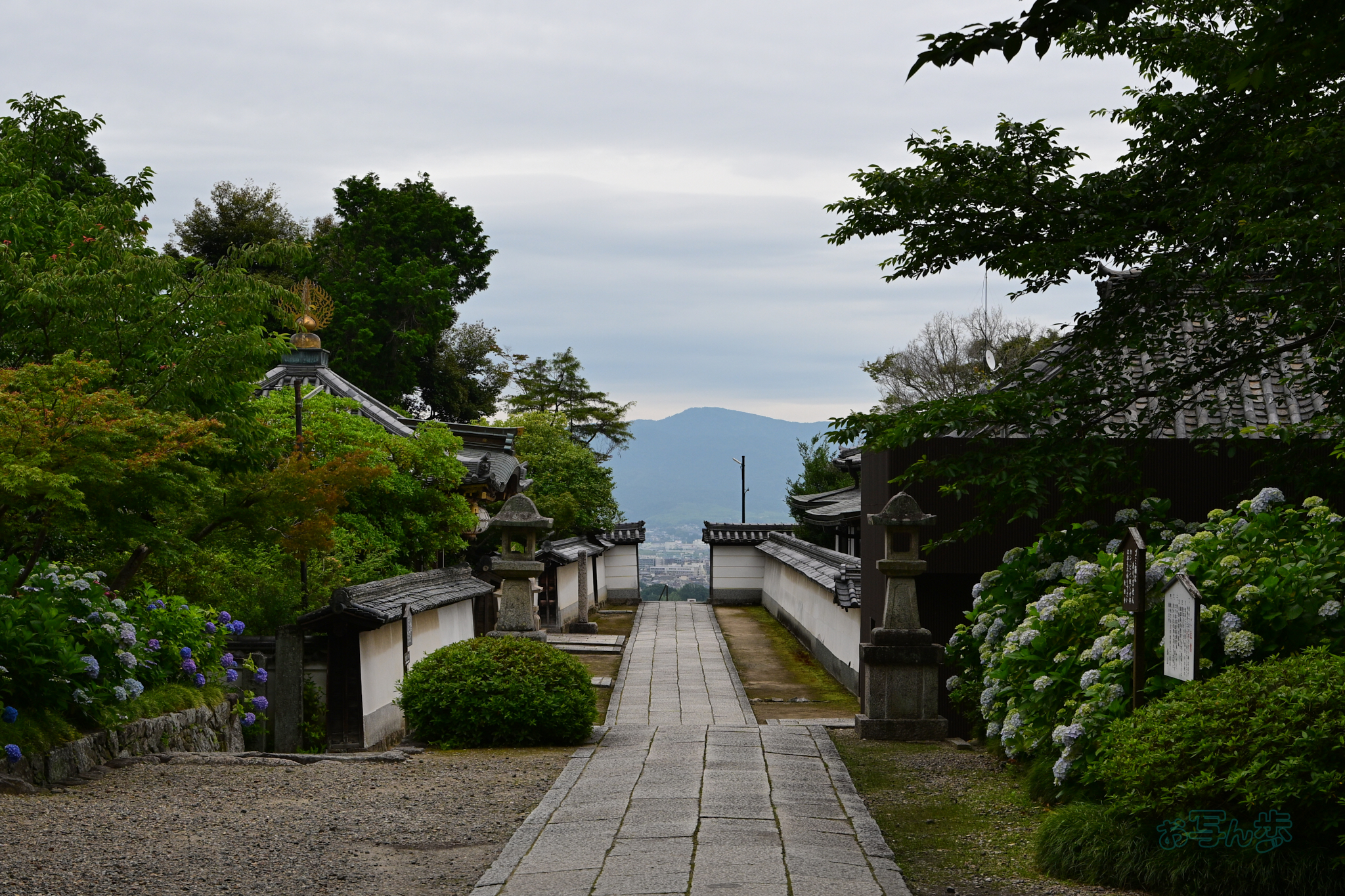https://www.yaotomi.co.jp/blog/walk/DSC_6100co%2C50%20mm%2CF11%2Ciso320%28JPEG%29.jpg
