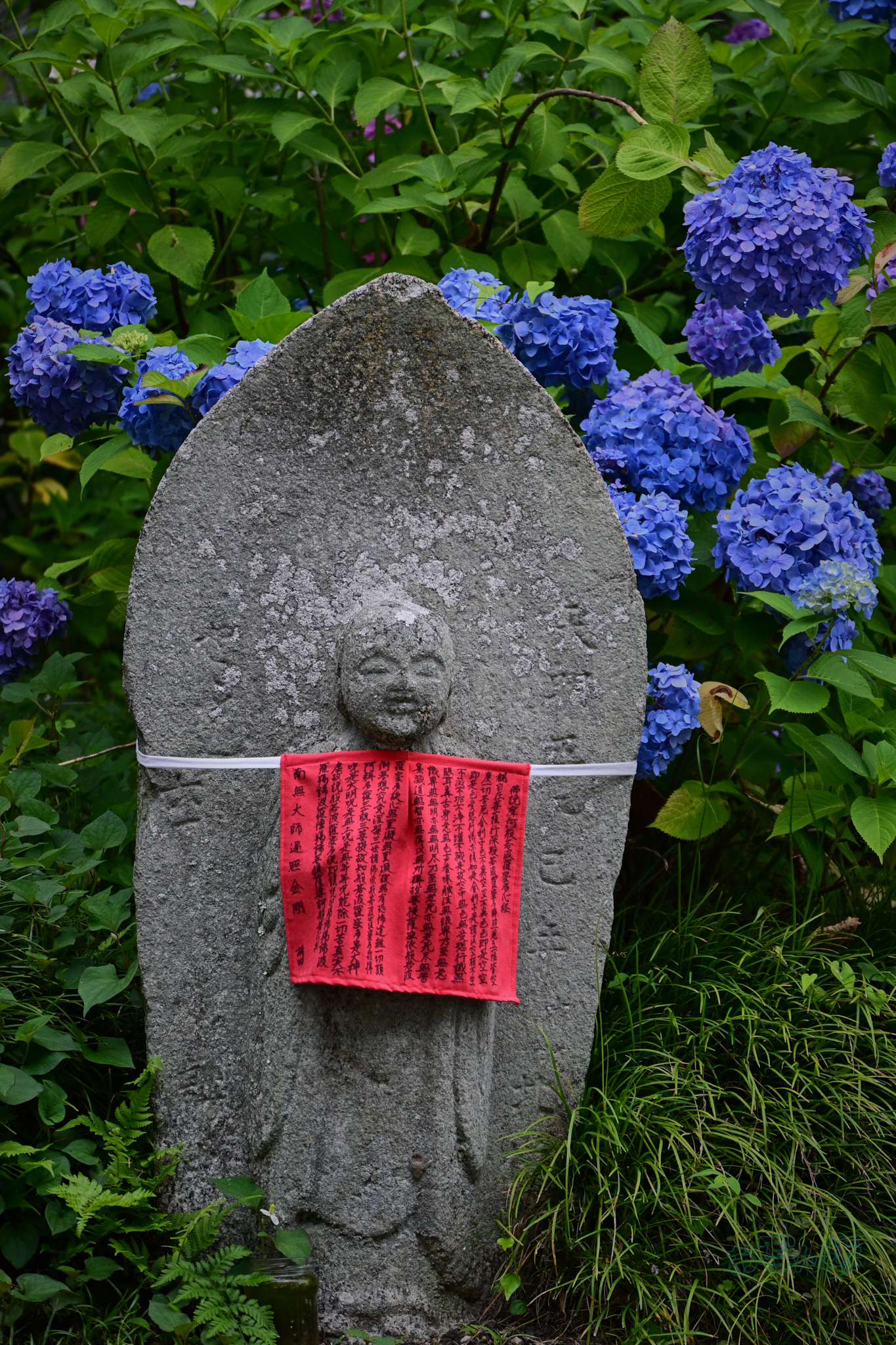 https://www.yaotomi.co.jp/blog/walk/DSC_6106co%2C62%20mm%2CF5%2Ciso400%28JPEG%29.jpg
