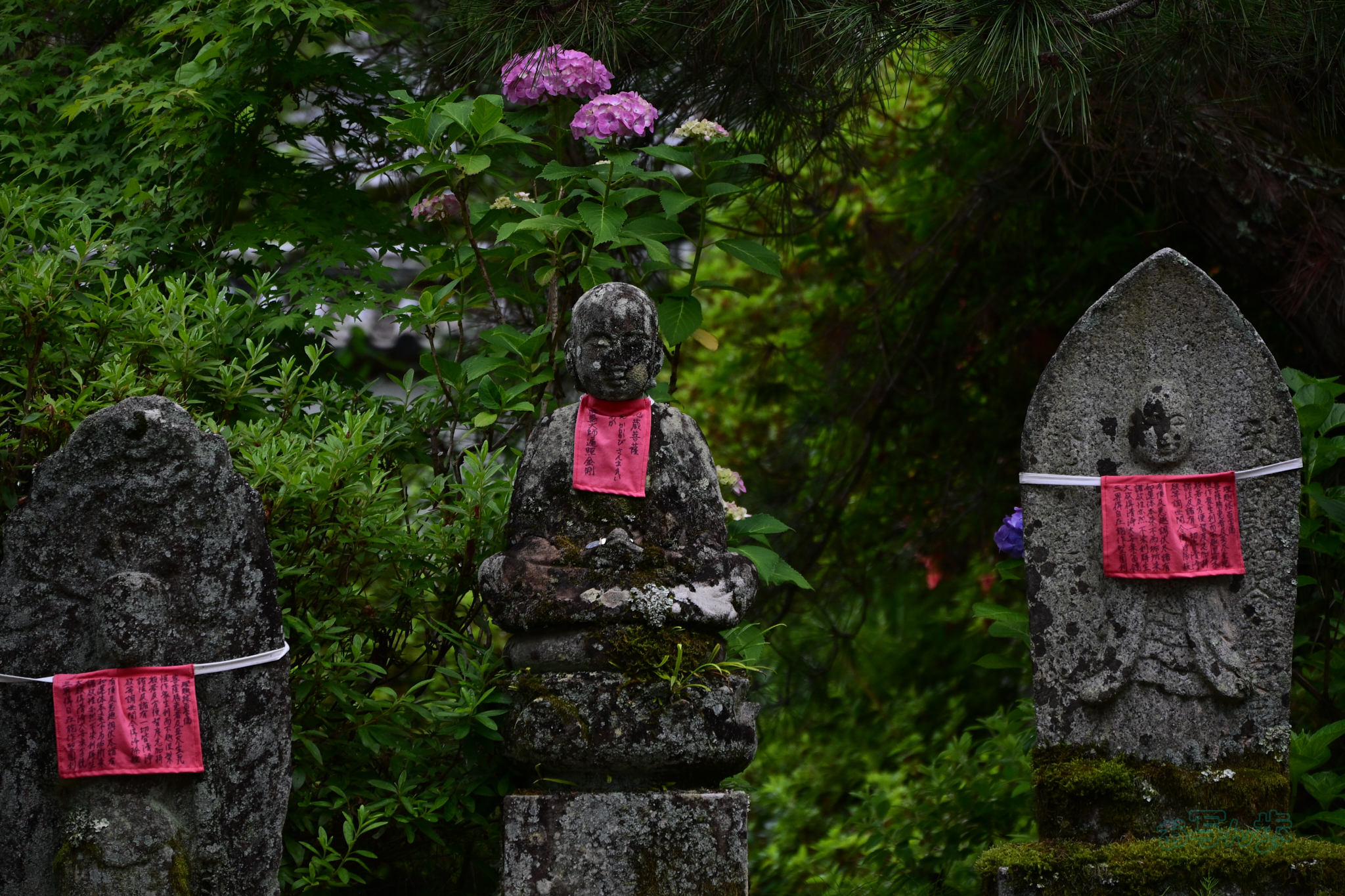 https://www.yaotomi.co.jp/blog/walk/DSC_6166co%2C115%20mm%2CF6.3%2Ciso640%28JPEG%29.jpg