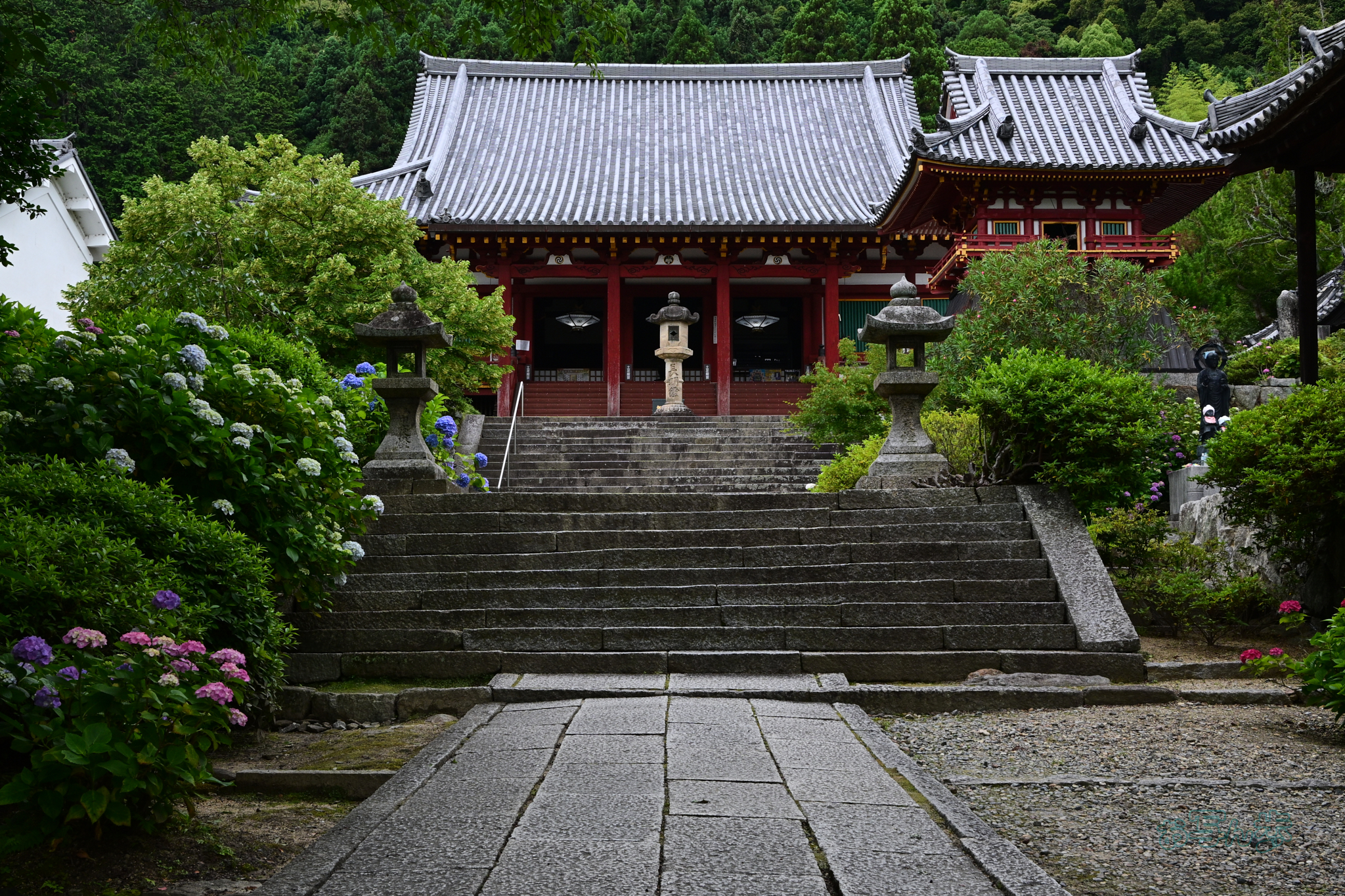 https://www.yaotomi.co.jp/blog/walk/DSC_6425co%2C28%20mm%2CF11%2Ciso400%28JPEG%29.jpg