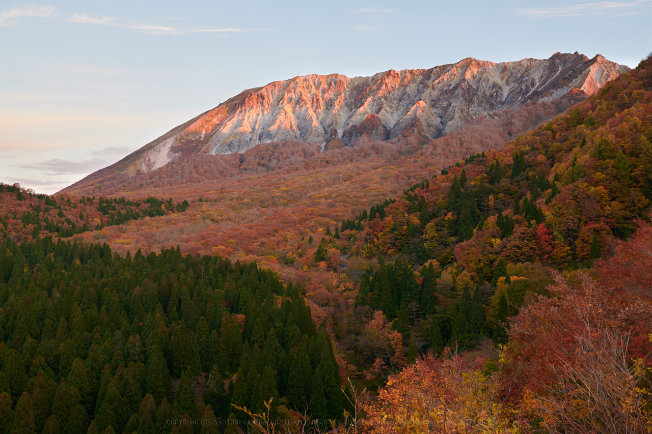 https://www.yaotomi.co.jp/blog/walk/DSC_7302%2C38%20mm%2C17-11-01_yaotomi.jpg