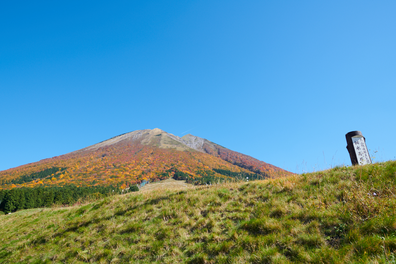 https://www.yaotomi.co.jp/blog/walk/DSC_7605%2C24%20mm%2C17-11-01_yaotomi.jpg