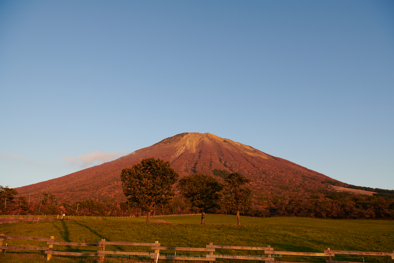 https://www.yaotomi.co.jp/blog/walk/DSC_7615%2C24%20mm%2C17-11-01_yaotomi.jpg