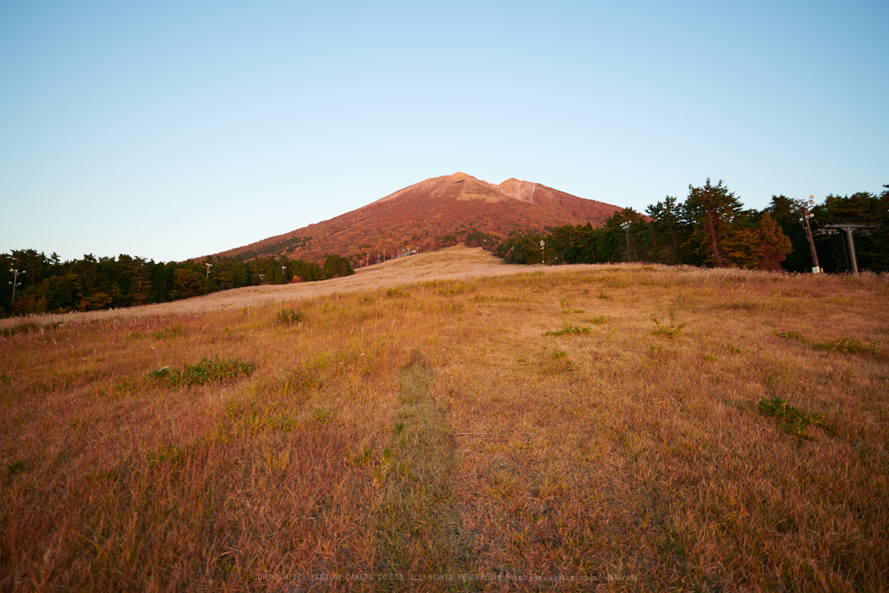 https://www.yaotomi.co.jp/blog/walk/DSC_7631%2C15%20mm%2C17-11-01_yaotomi.jpg