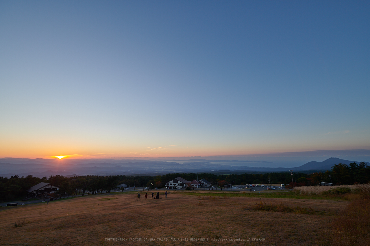 https://www.yaotomi.co.jp/blog/walk/DSC_7640%2C14%20mm%2C17-11-01_yaotomi.jpg