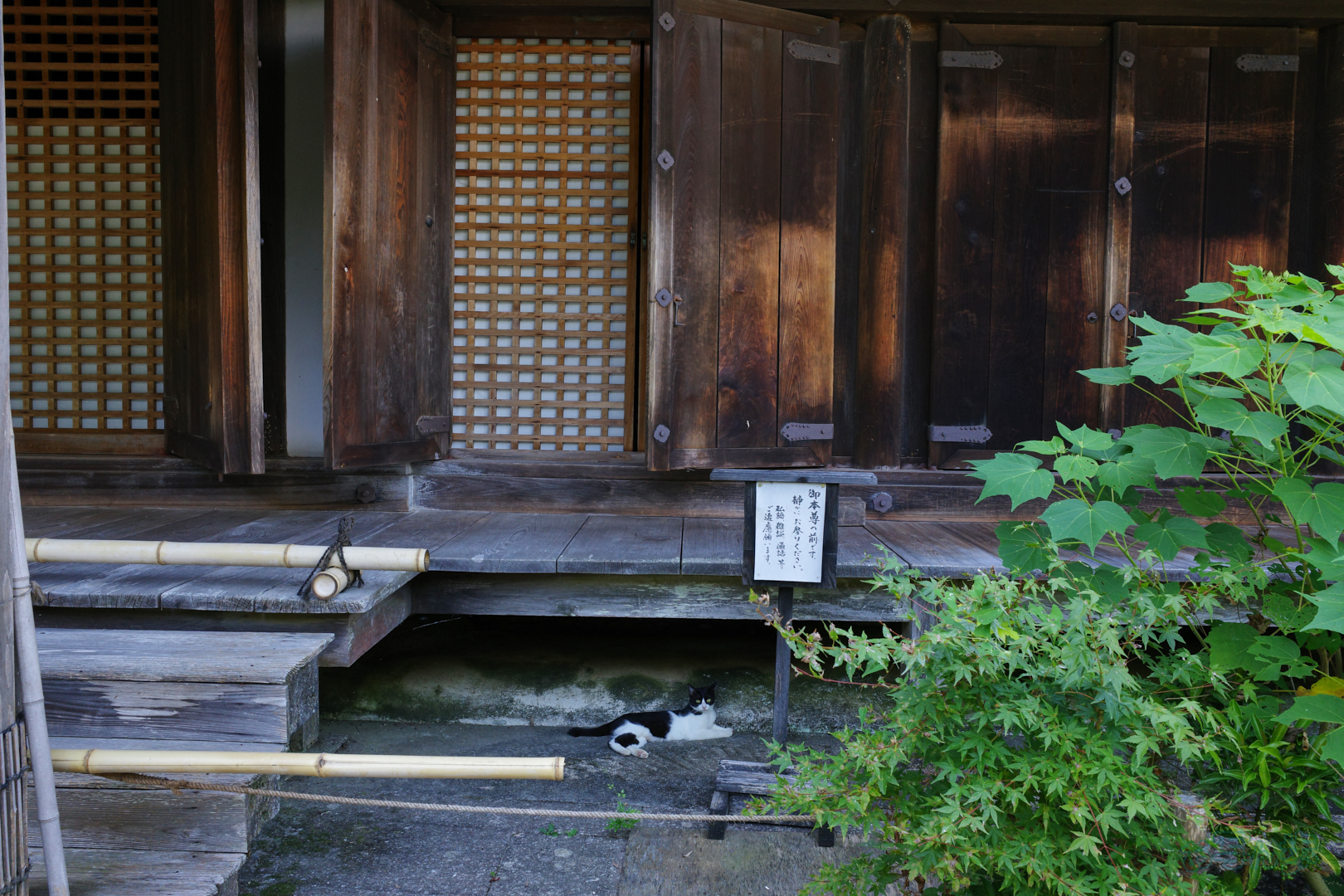 https://www.yaotomi.co.jp/blog/walk/GR000234%2C18%20mm%2CF8%2C1-30%20%E7%A7%92%2Ciso320%28JPEG%29.jpg