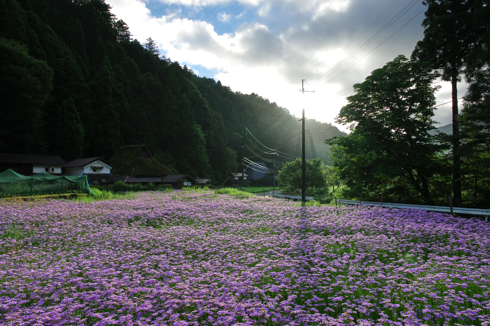 https://www.yaotomi.co.jp/blog/walk/IMGP5962%2C16%20mm%2CF9%2Ciso100.jpg