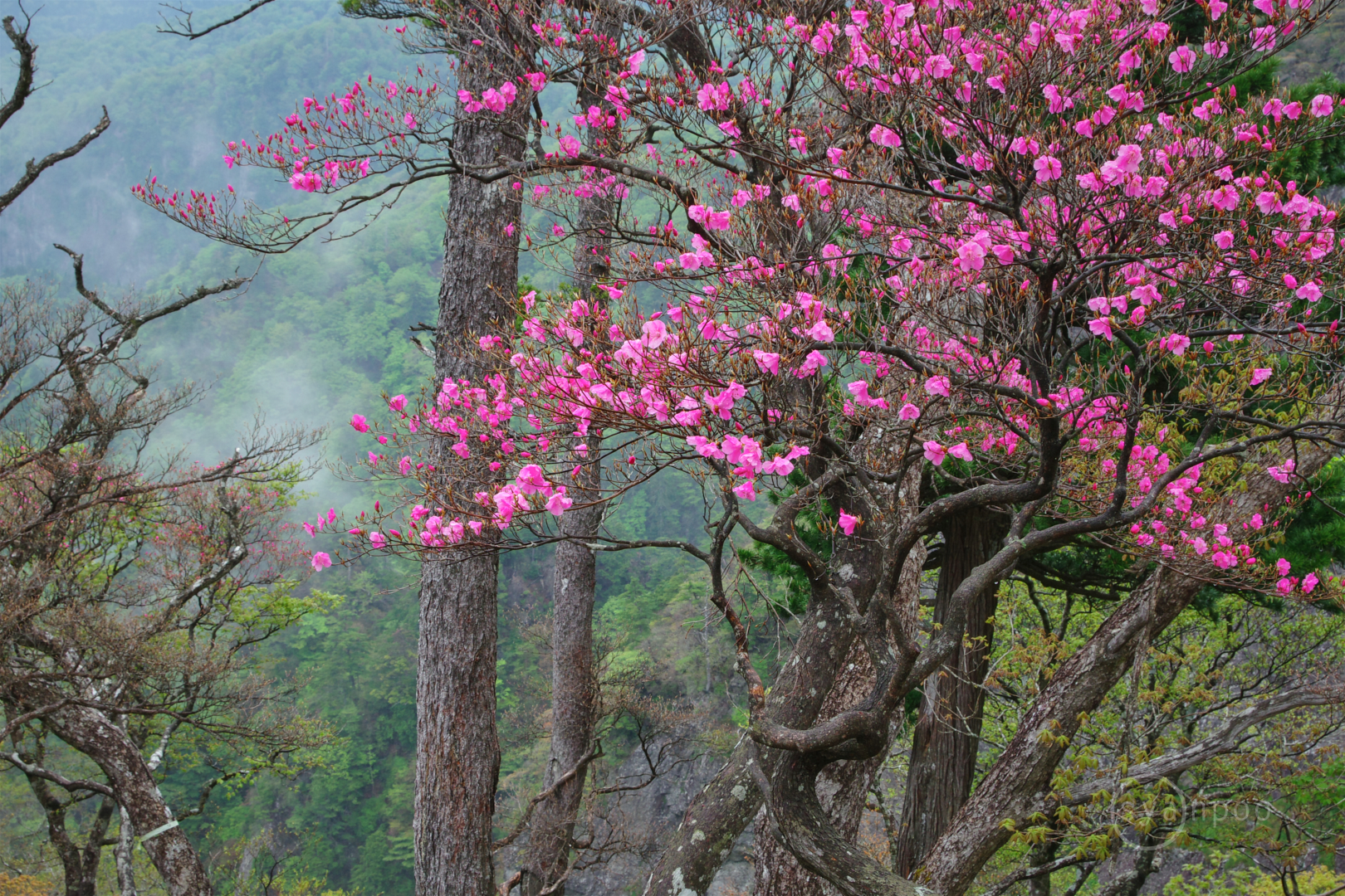 https://www.yaotomi.co.jp/blog/walk/IMGP6166%2C36%20mm%2CF14%2Ciso800%28JPEG%29.jpg