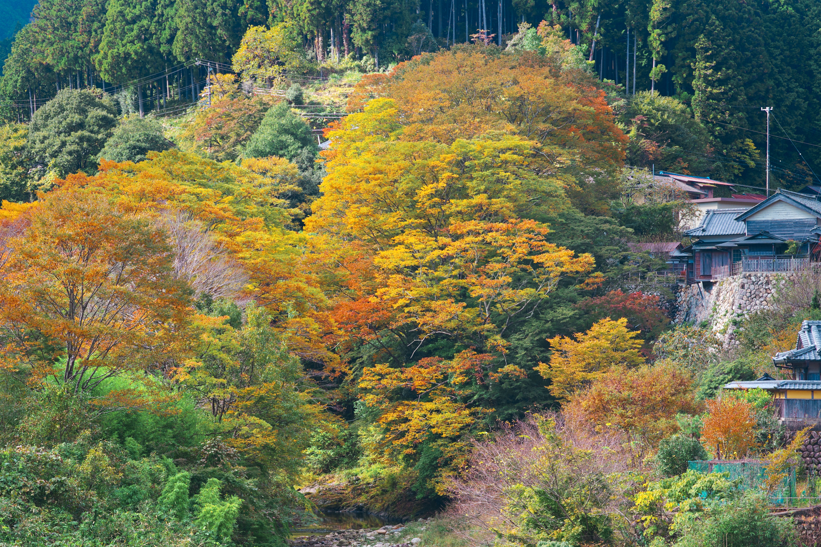 https://www.yaotomi.co.jp/blog/walk/IMGP9198%2C77%20mm%2CF8%2Ciso125%28JPEG%29.jpg