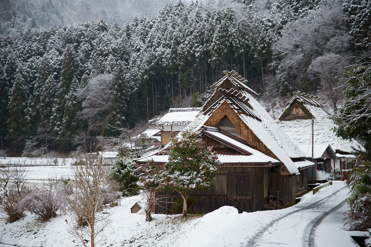 https://www.yaotomi.co.jp/blog/walk/IMG_0768_70%20mm%28F2.8%29iso125_2018yaotomi.jpg