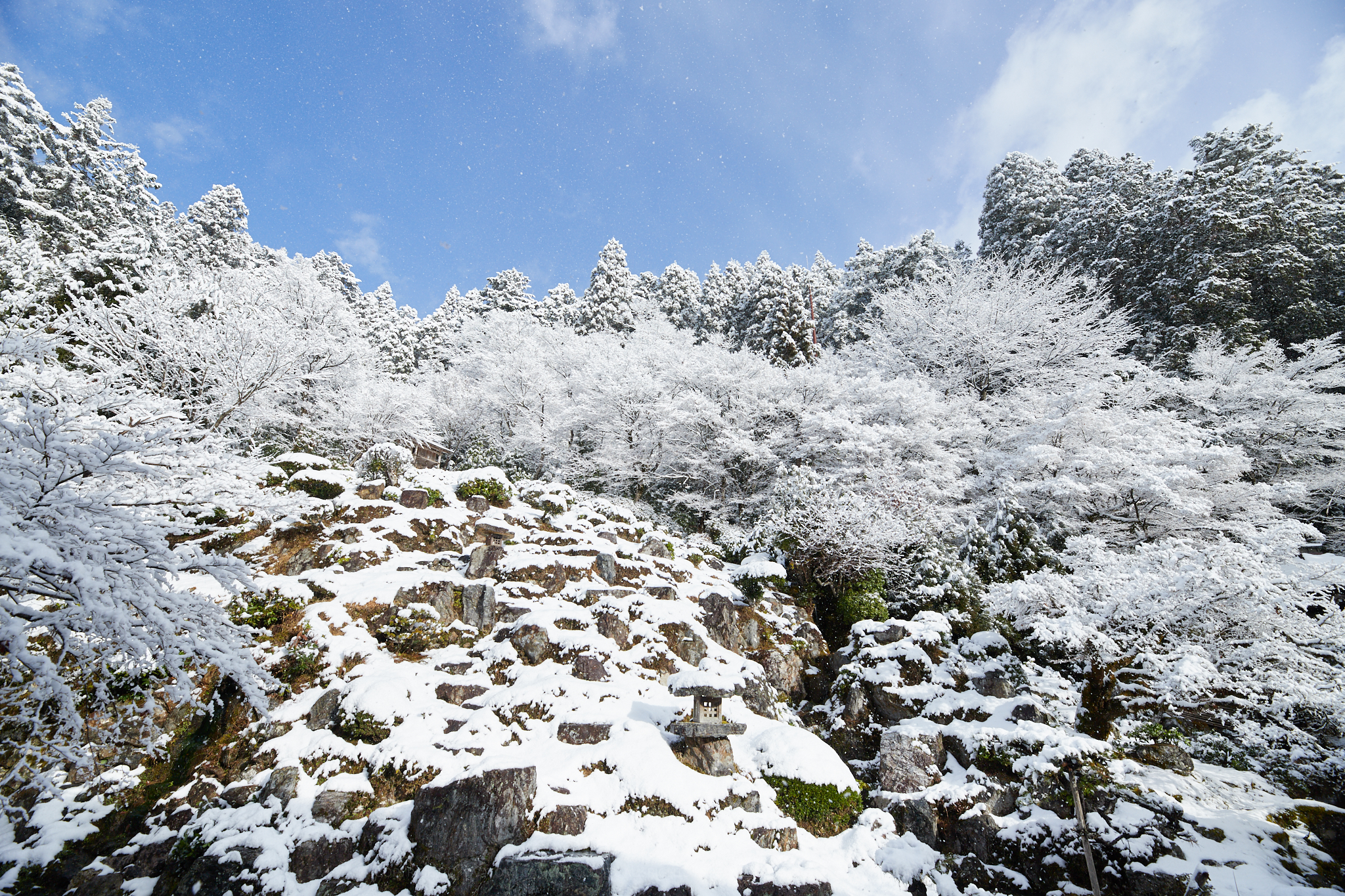 https://www.yaotomi.co.jp/blog/walk/IMG_0947%2C14%20mm%2CF8_iso100_2018yaotomi.jpg