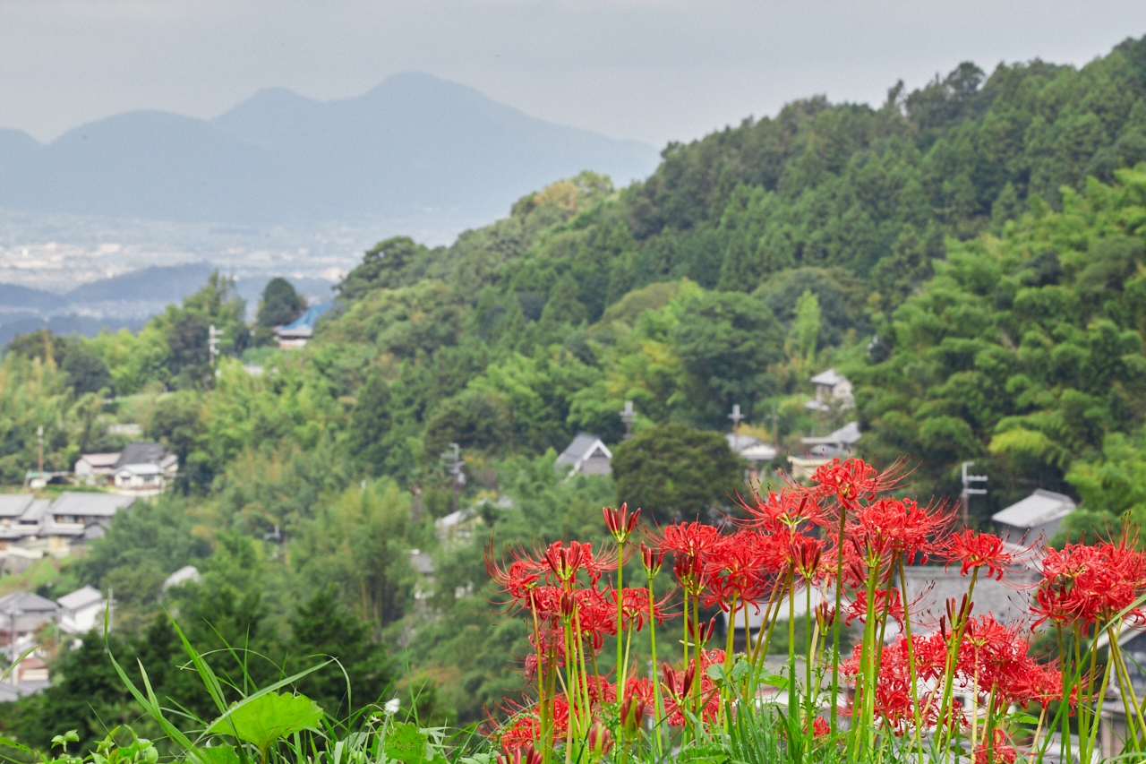 https://www.yaotomi.co.jp/blog/walk/IMG_2779_172%20mm%28F22%29iso1600_2018yaotomi.jpg