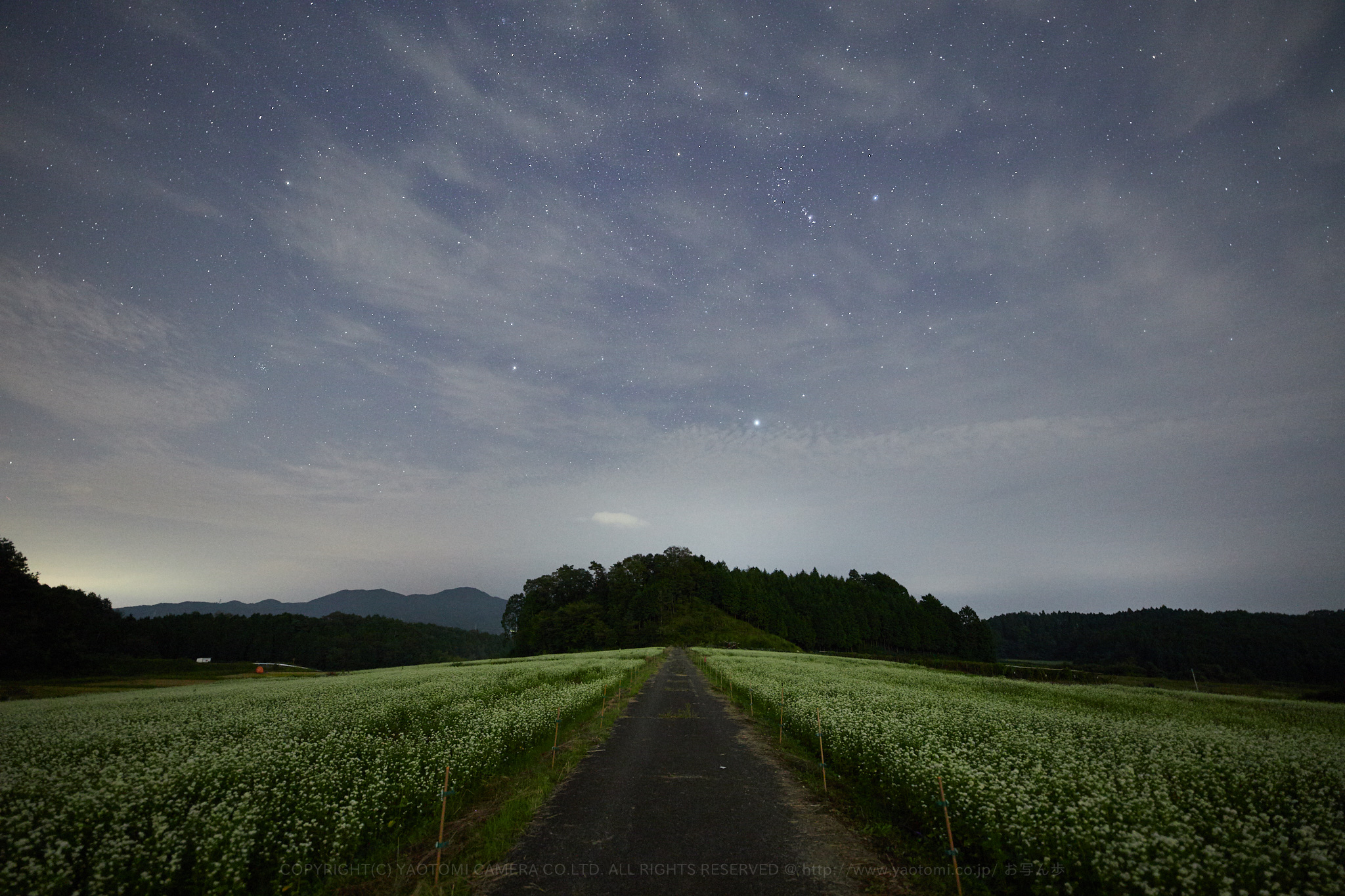 https://www.yaotomi.co.jp/blog/walk/IMG_2837%2C14%20mm%2CF2_iso3200_2018yaotomi.jpg