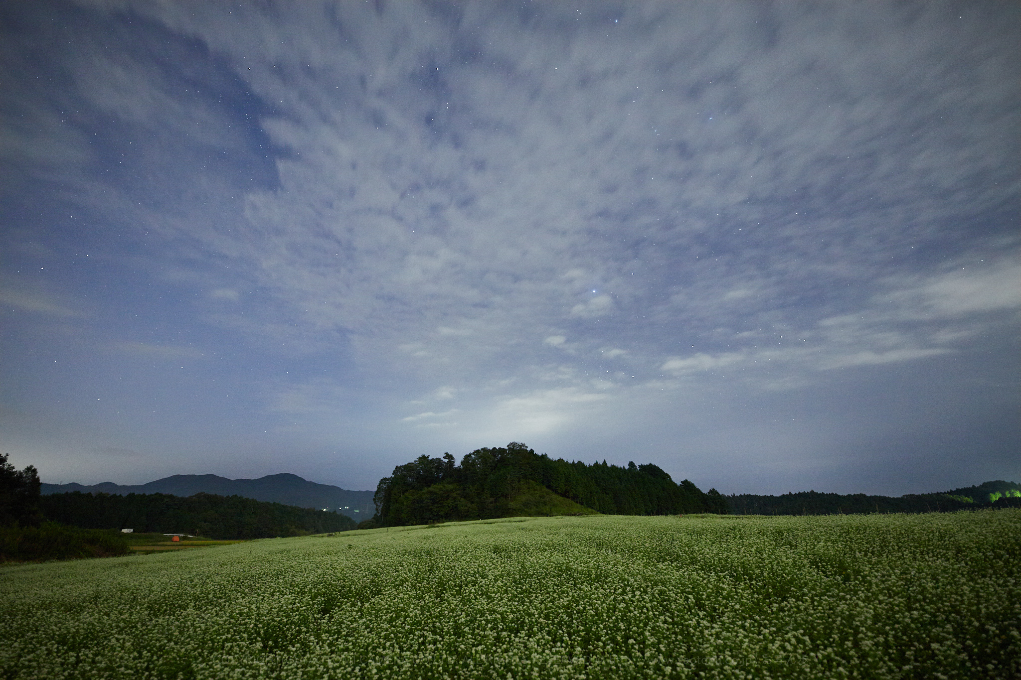 https://www.yaotomi.co.jp/blog/walk/IMG_2888%2C14%20mm%2CF2_iso3200_2018yaotomi.jpg