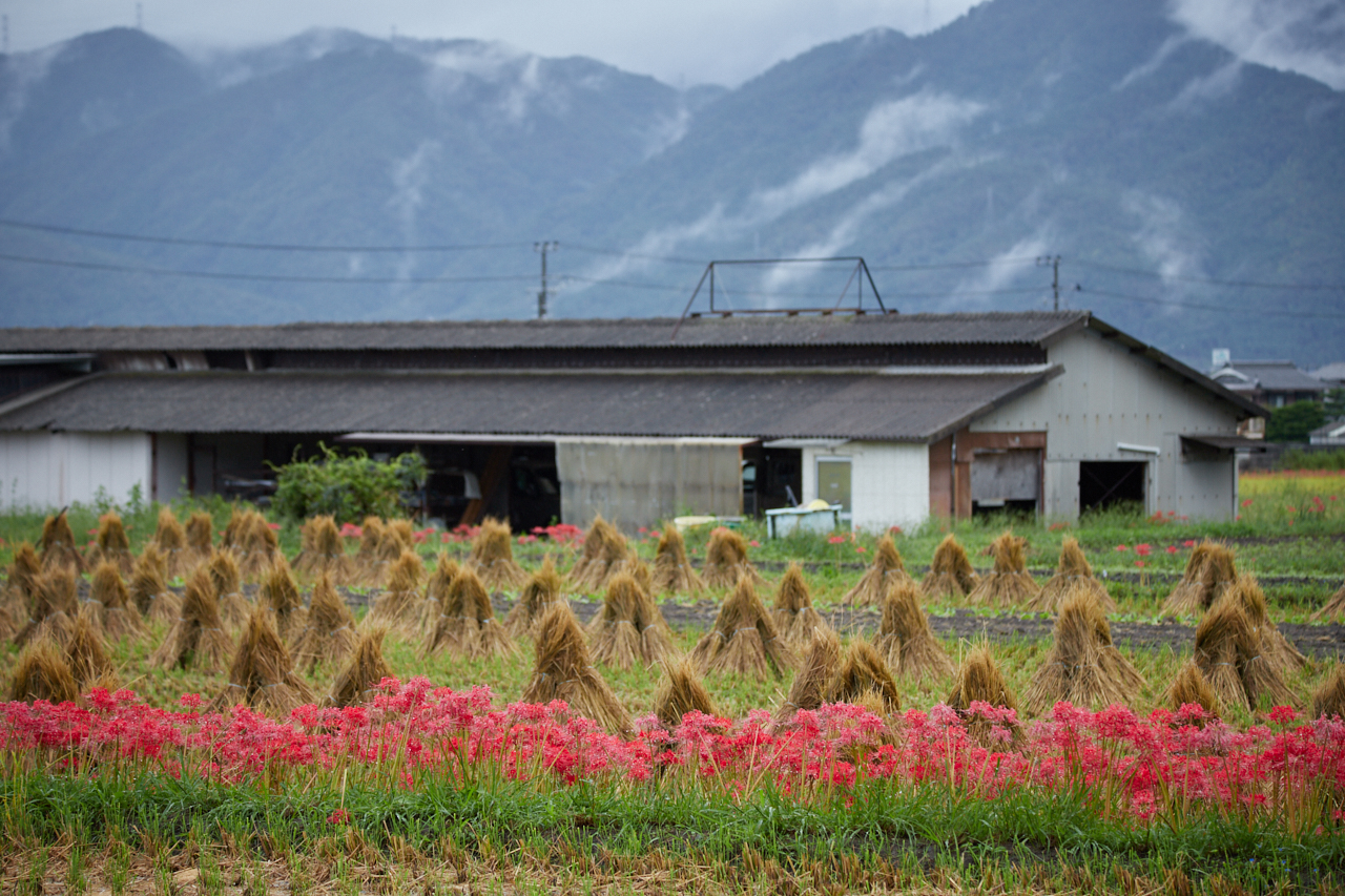 https://www.yaotomi.co.jp/blog/walk/IMG_3295_143%20mm%28F5.6%29iso320_2018yaotomi.jpg