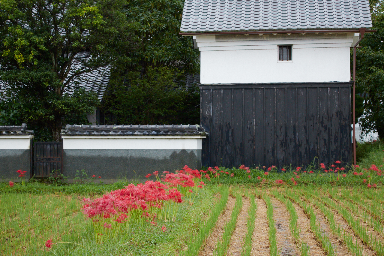 https://www.yaotomi.co.jp/blog/walk/IMG_3305_116%20mm%28F10%29iso1000_2018yaotomi.jpg