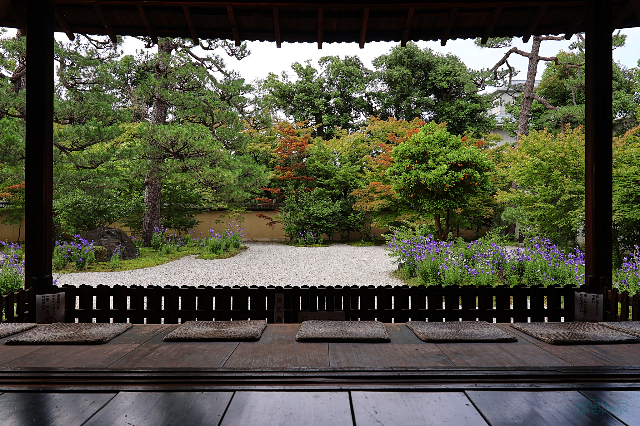 https://www.yaotomi.co.jp/blog/walk/IMG_3552%2C17%20mm%2CF7.1%2Ciso100_TAMRON%2017-70mm%20F2.8%20B070%20RF.jpg
