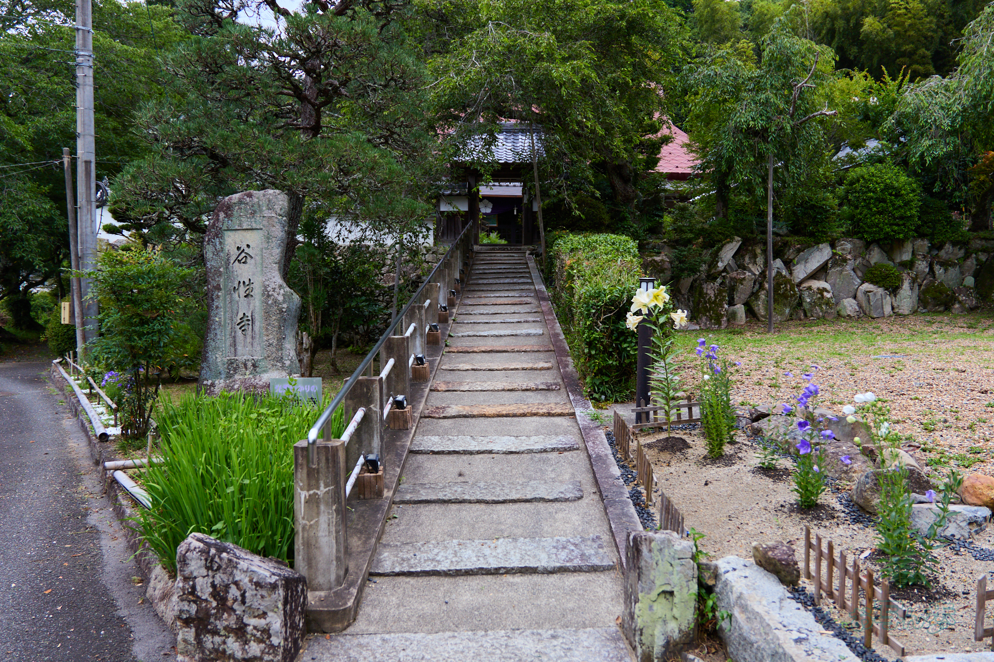 https://www.yaotomi.co.jp/blog/walk/IMG_4009co%2C17%20mm%2CF2.8%2Ciso100%2CTAMRON%2017-70mm%20F2.8%20B070%20RF.jpg