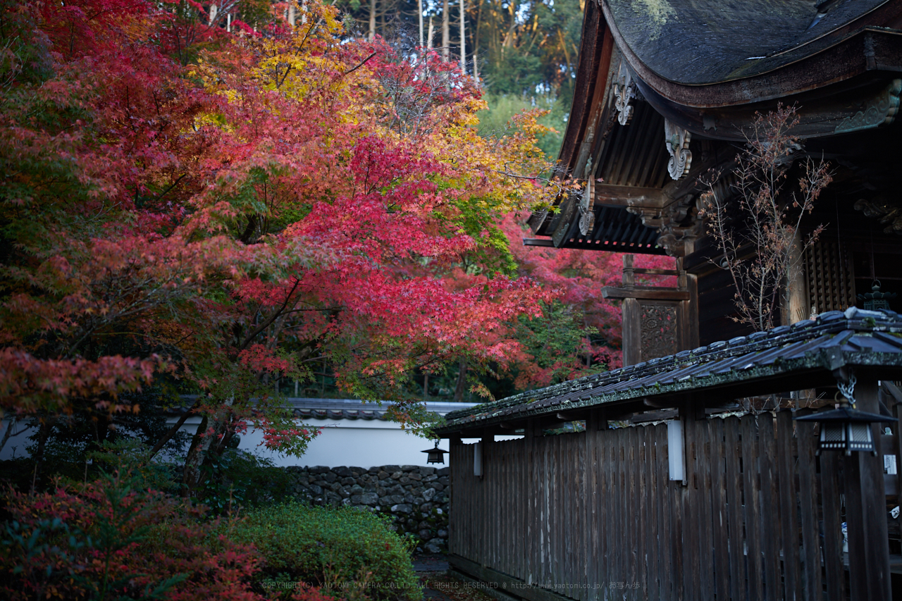 https://www.yaotomi.co.jp/blog/walk/IMG_4110_40%20mm%28F1.4%29iso100_2018yaotomi.jpg