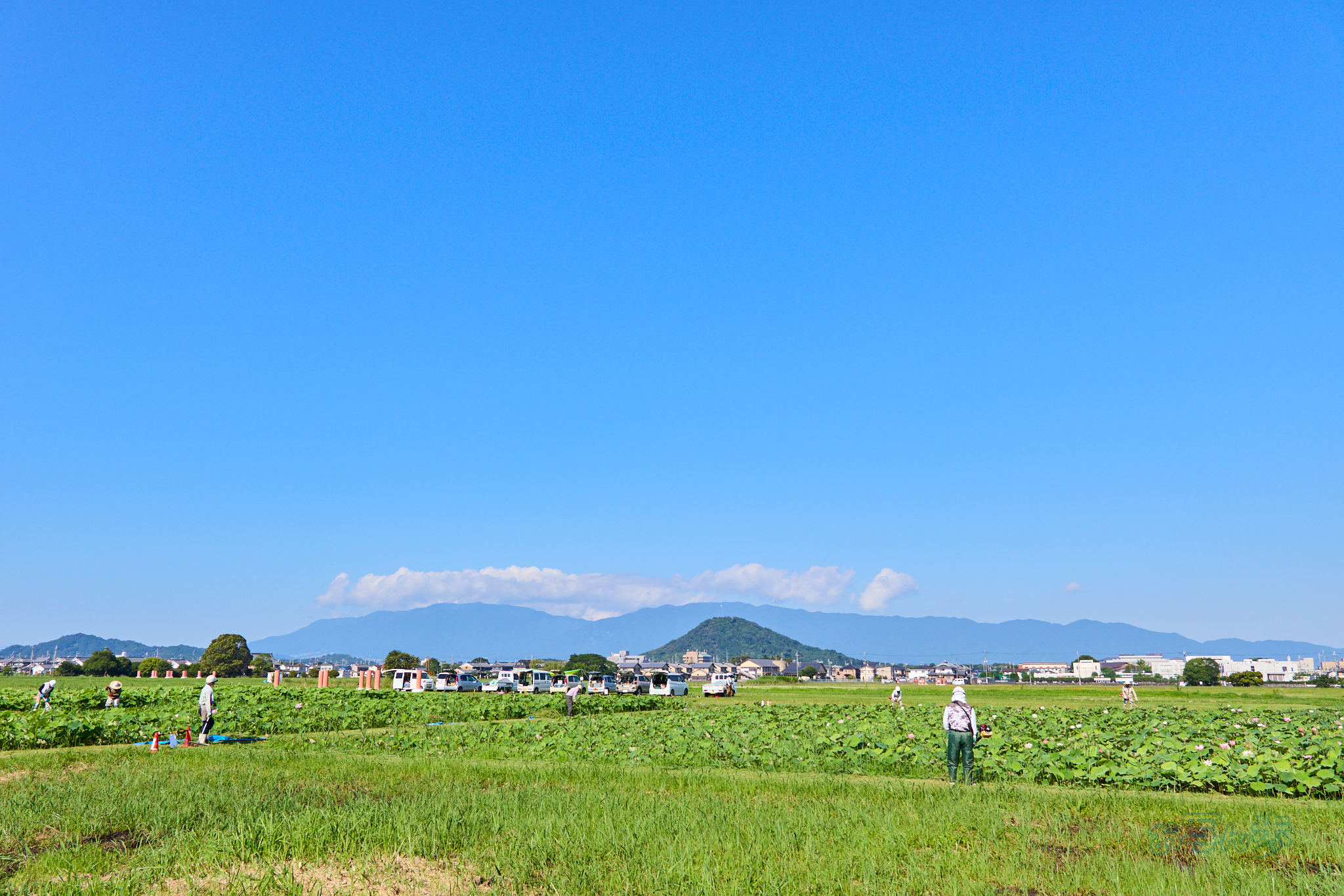 https://www.yaotomi.co.jp/blog/walk/IMG_4289co%2C17%20mm%2CF7.1%2Ciso100%2CTAMRON%2017-70mm%20F2.8%20B070%20RF_1.jpg