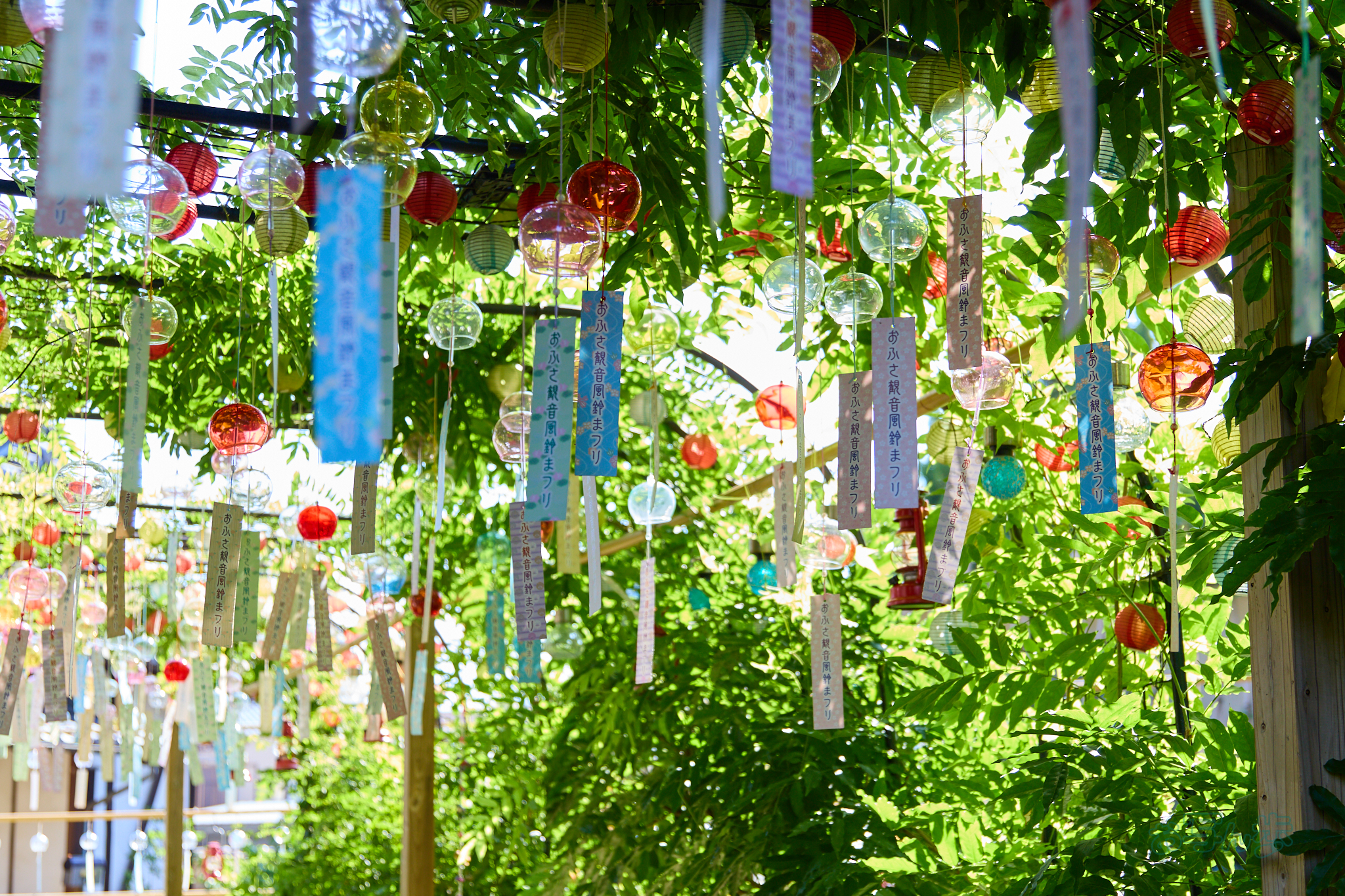 https://www.yaotomi.co.jp/blog/walk/IMG_4480co%2C34%20mm%2CF2.8%2Ciso100%2CTAMRON%2017-70mm%20F2.8%20B070%20RF.jpg