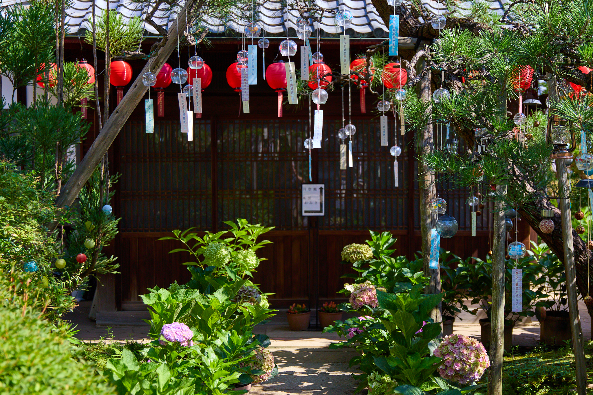 https://www.yaotomi.co.jp/blog/walk/IMG_4494co%2C37%20mm%2CF2.8%2Ciso100%2CTAMRON%2017-70mm%20F2.8%20B070%20RF.jpg