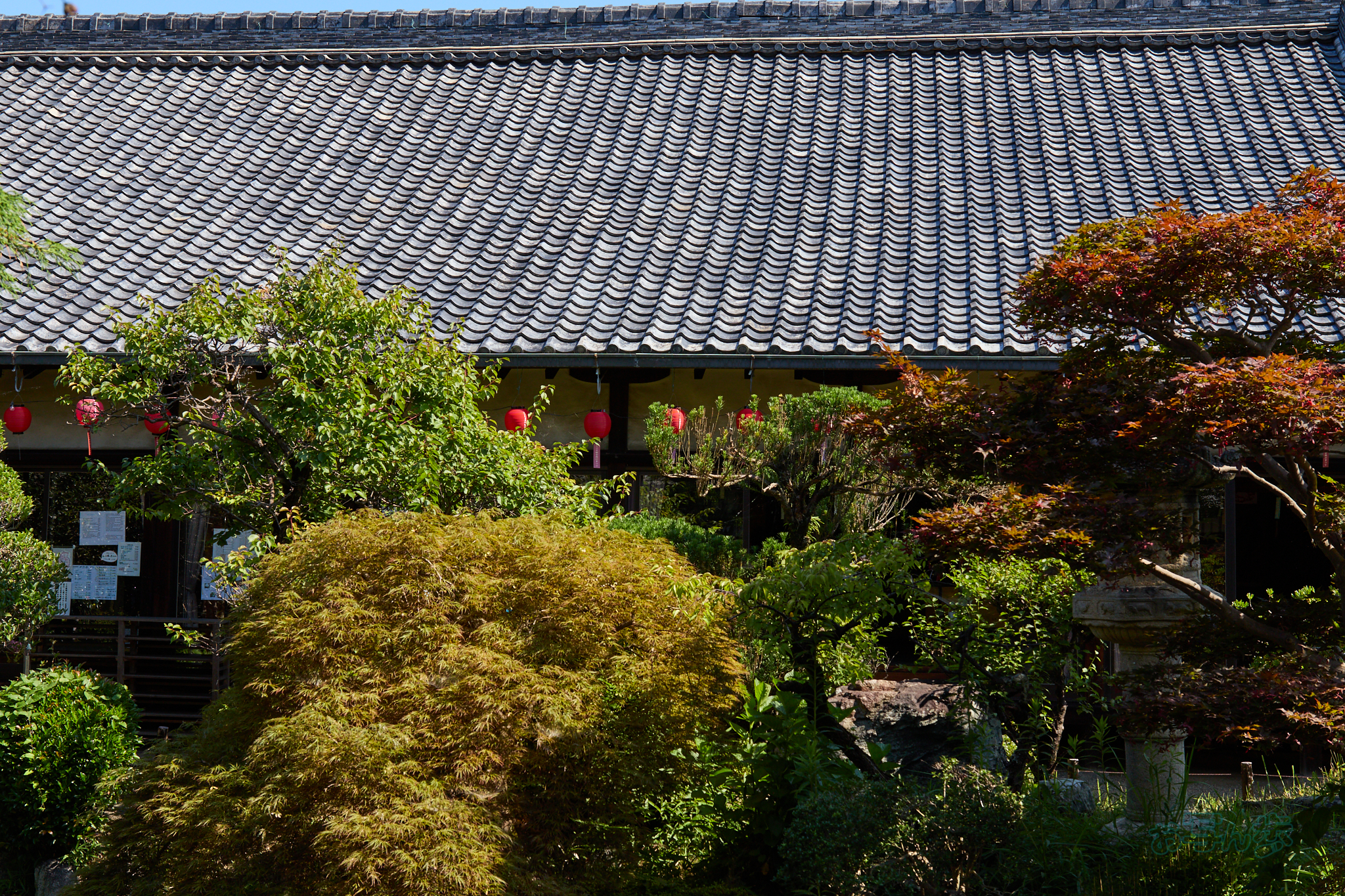 https://www.yaotomi.co.jp/blog/walk/IMG_4502co%2C28%20mm%2CF6.3%2Ciso100%2CTAMRON%2017-70mm%20F2.8%20B070%20RF.jpg