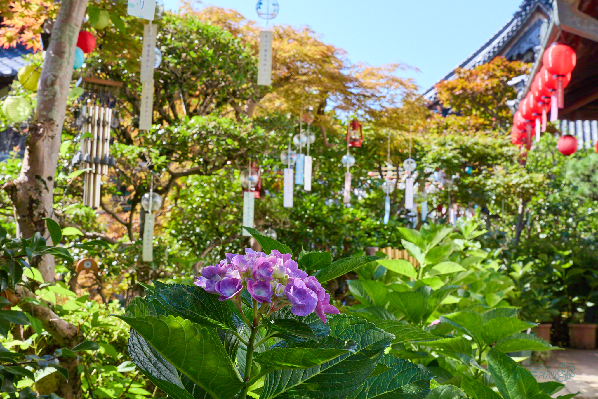 https://www.yaotomi.co.jp/blog/walk/IMG_4512co%2C27%20mm%2CF10%2Ciso160%2CTAMRON%2017-70mm%20F2.8%20B070%20RF.jpg