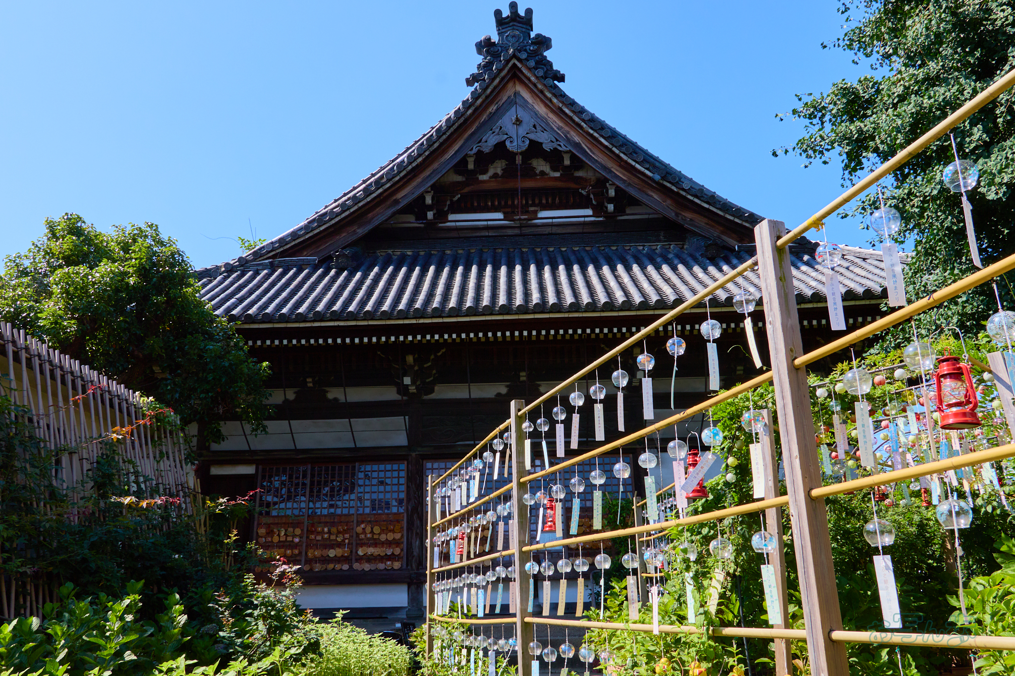 https://www.yaotomi.co.jp/blog/walk/IMG_4523co%2C17%20mm%2CF10%2Ciso100%2CTAMRON%2017-70mm%20F2.8%20B070%20RF.jpg