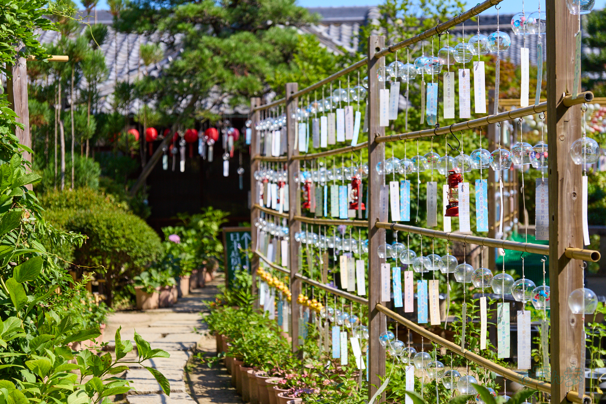 https://www.yaotomi.co.jp/blog/walk/IMG_4529co%2C47%20mm%2CF2.8%2Ciso100%2CTAMRON%2017-70mm%20F2.8%20B070%20RF.jpg