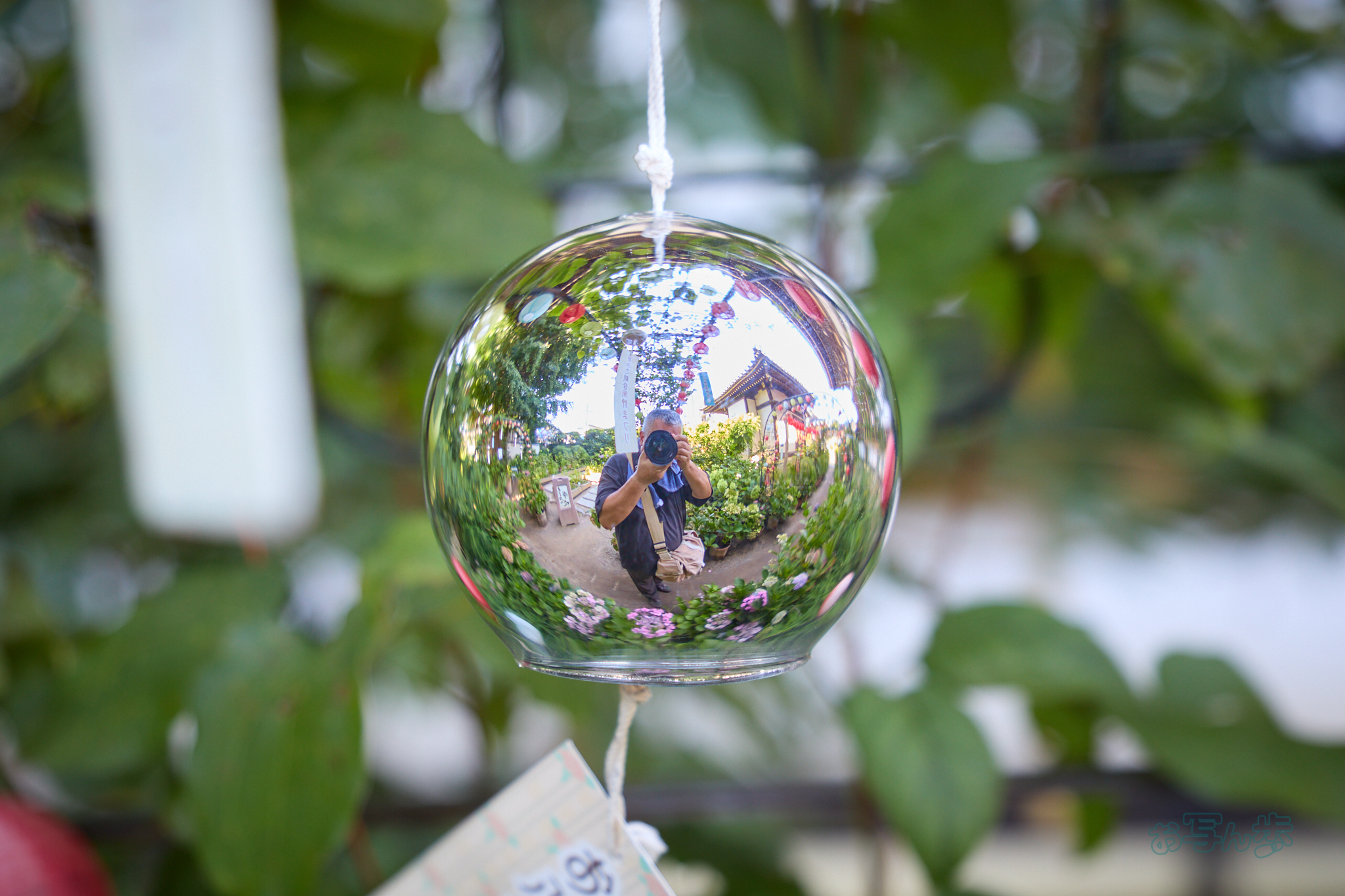 https://www.yaotomi.co.jp/blog/walk/IMG_4555co%2C41%20mm%2CF2.8%2Ciso250%2CTAMRON%2017-70mm%20F2.8%20B070%20RF.jpg