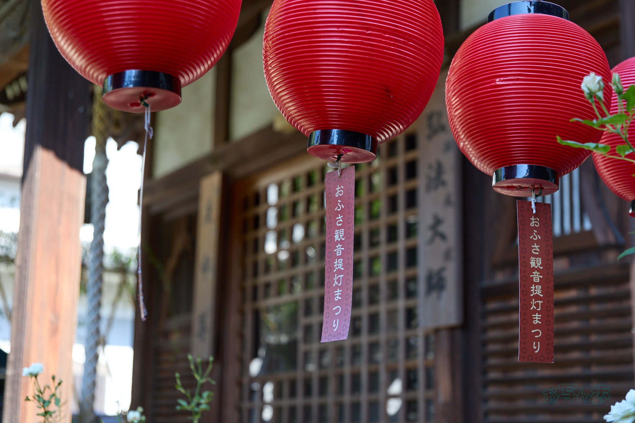 https://www.yaotomi.co.jp/blog/walk/IMG_4568co%2C37%20mm%2CF2.8%2Ciso100%2CTAMRON%2017-70mm%20F2.8%20B070%20RF.jpg