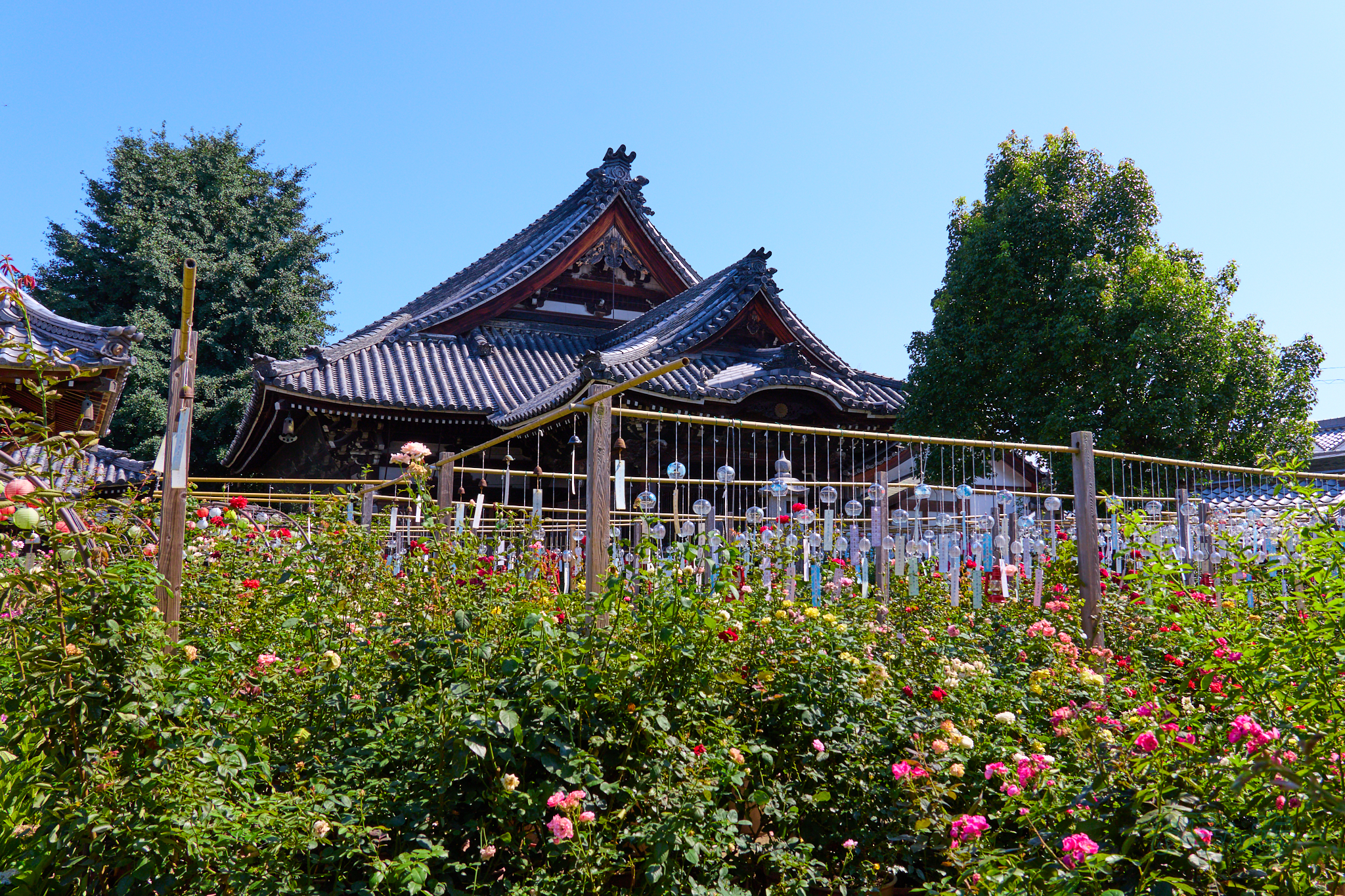 https://www.yaotomi.co.jp/blog/walk/IMG_4588co%2C17%20mm%2CF6.3%2Ciso100%2CTAMRON%2017-70mm%20F2.8%20B070%20RF.jpg