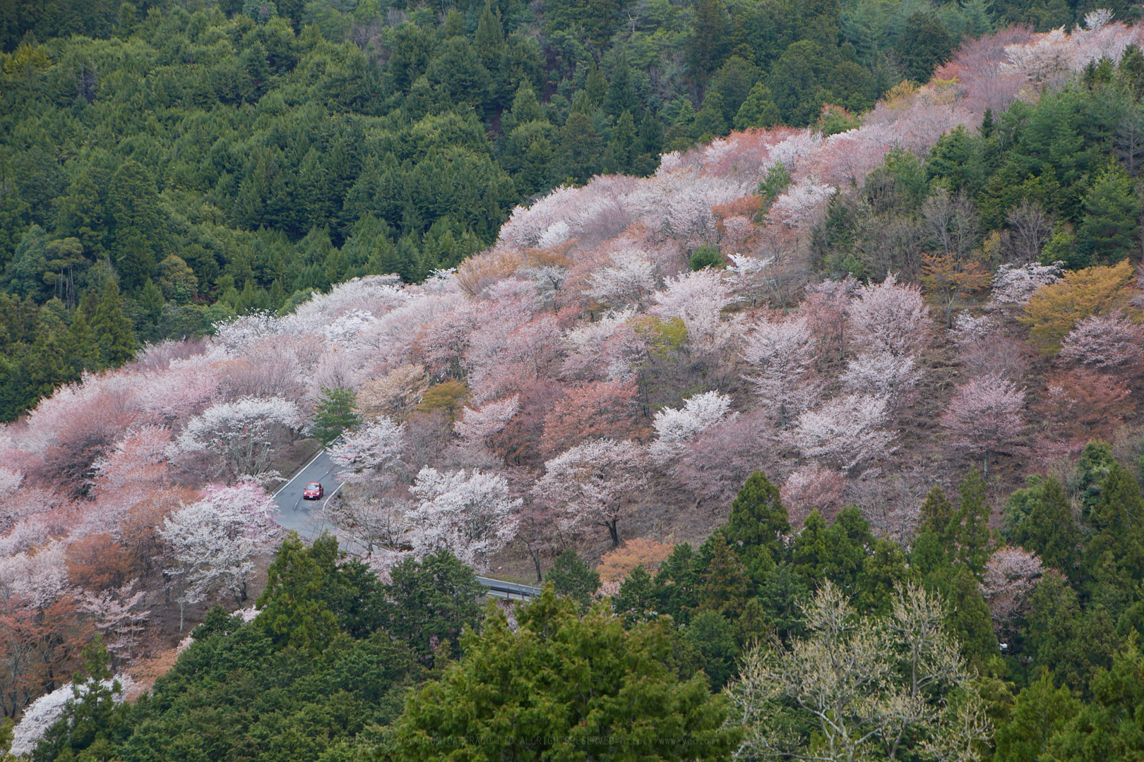 https://www.yaotomi.co.jp/blog/walk/IMG_4968%2C110%20mm%2CF9%2C1-125%20%E7%A7%92%2Ciso400.jpg