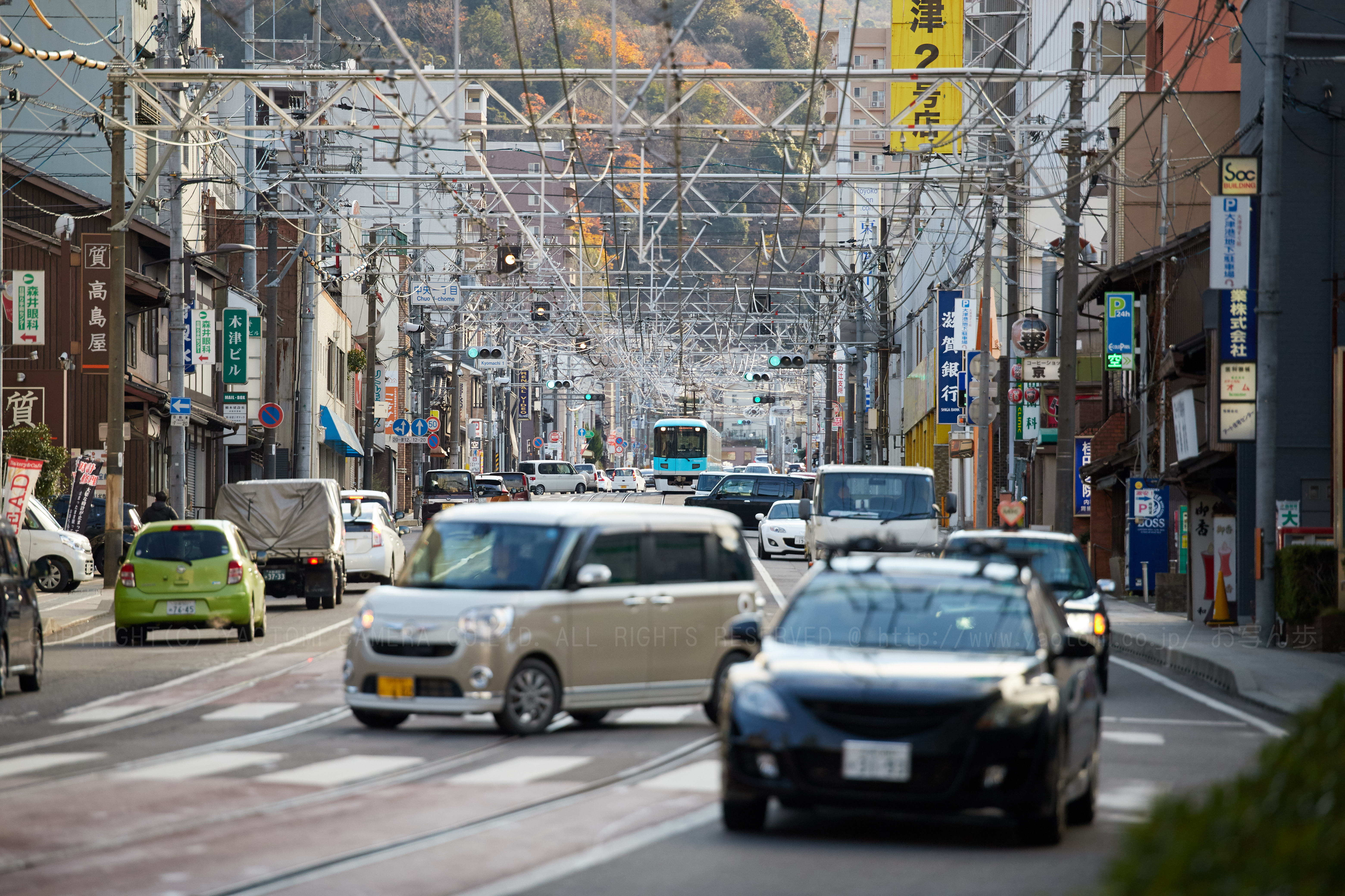 https://www.yaotomi.co.jp/blog/walk/IMG_8981_200%20mm%28F2.8%29iso800_2018yaotomi%20%282%29.jpg